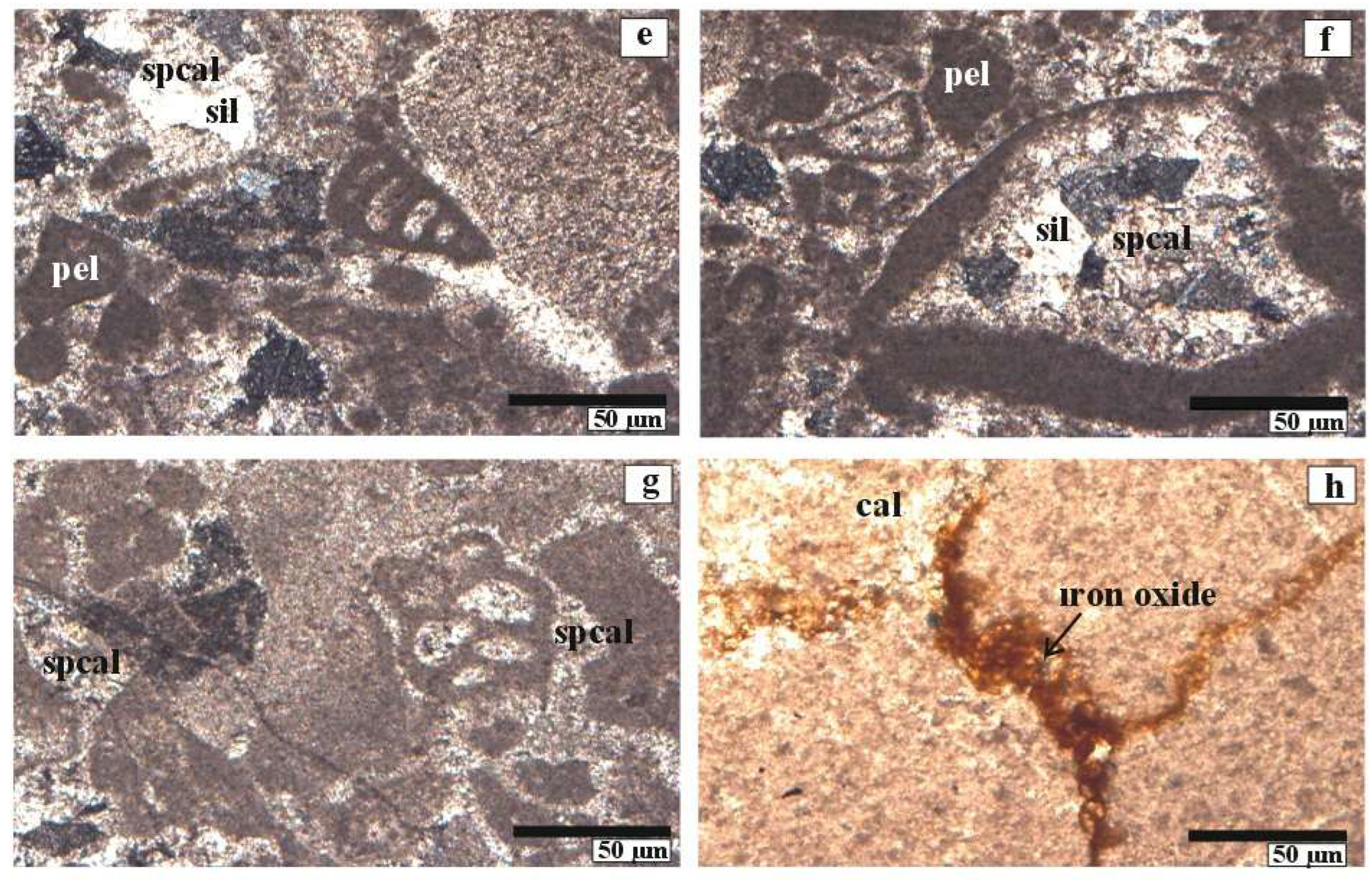 Minerals 15 01135 g004b Minerals 15 01135 g004b