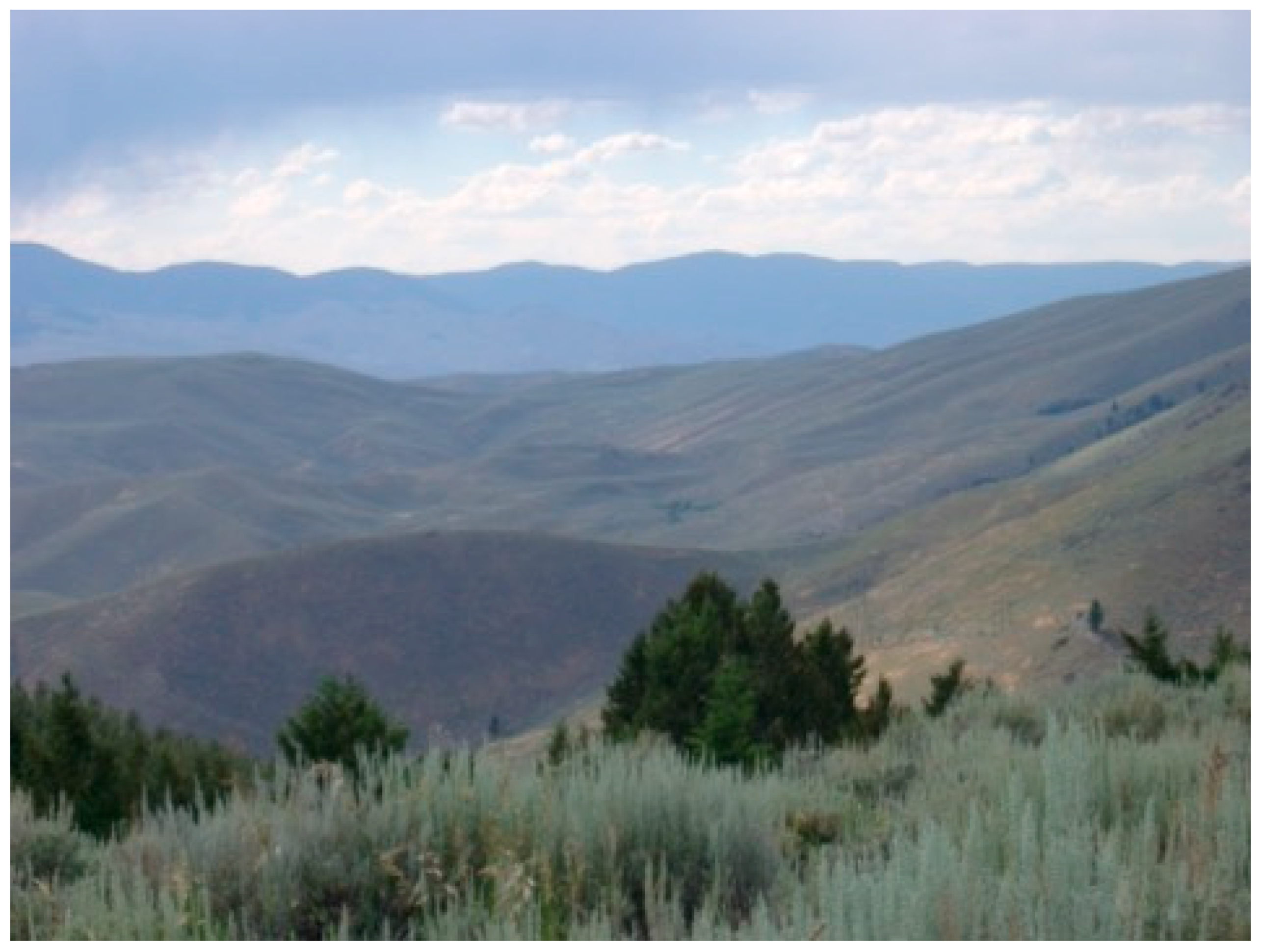 Minerals 15 01156 g016