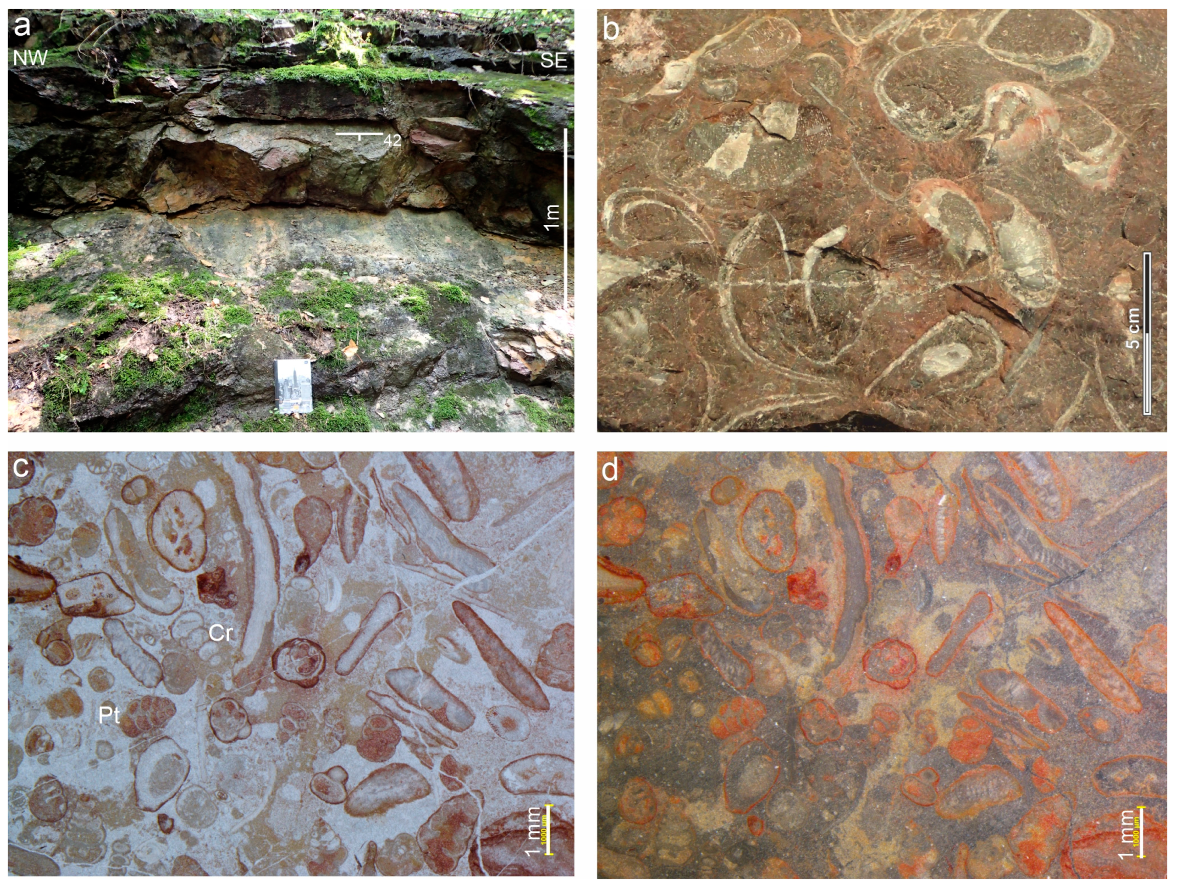 Minerals 15 01158 g003 Minerals 15 01158 g003