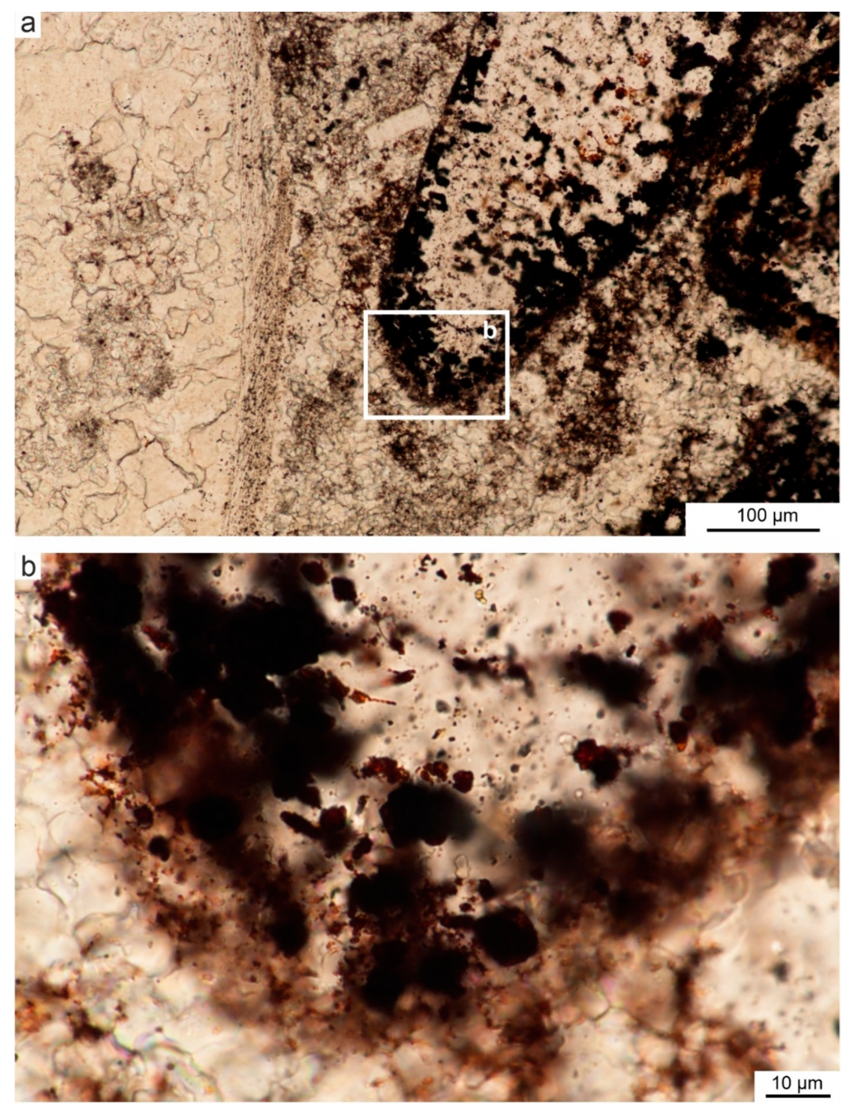 Minerals 15 01158 g008 Minerals 15 01158 g008