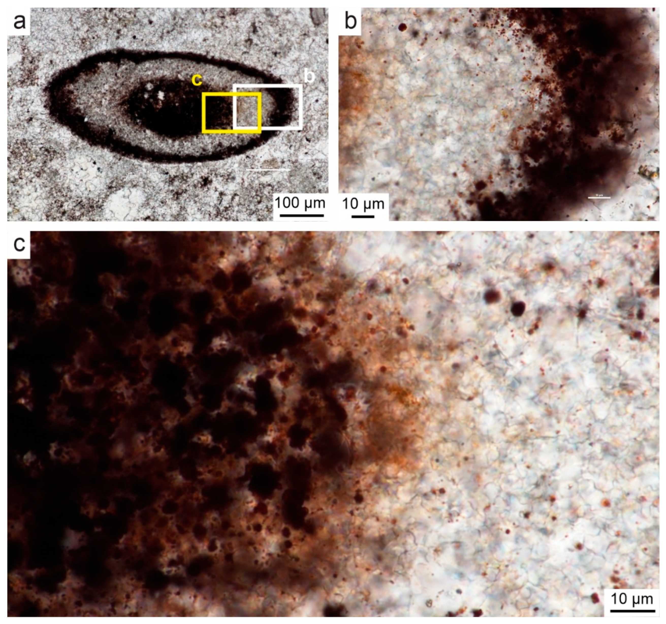 Minerals 15 01158 g009 Minerals 15 01158 g009