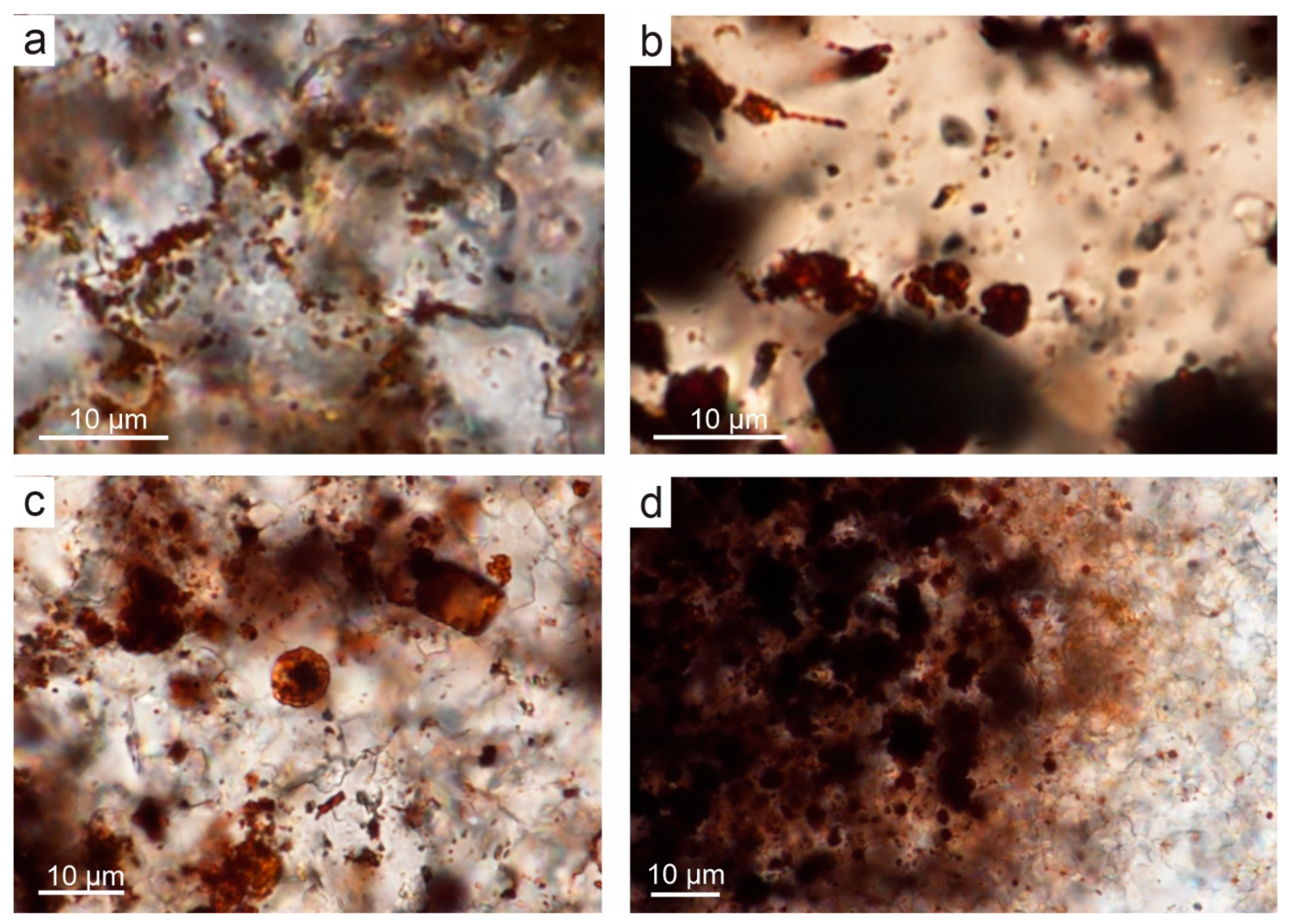Minerals 15 01158 g014 Minerals 15 01158 g014