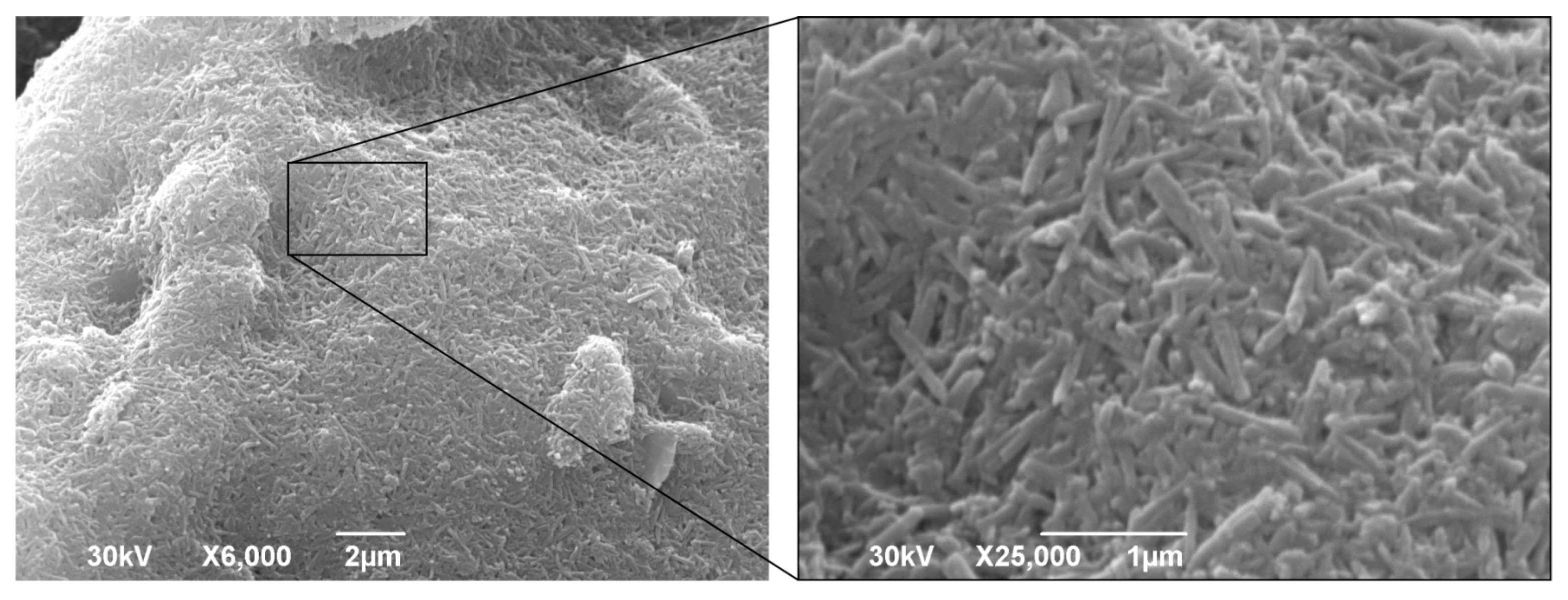 Minerals 15 01169 g005