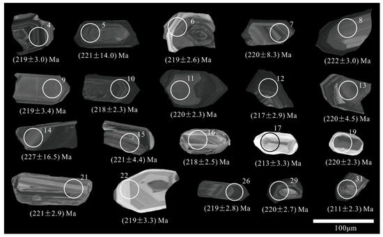 Zircon U-Pb Age, Geochemical Characteristics and Geological