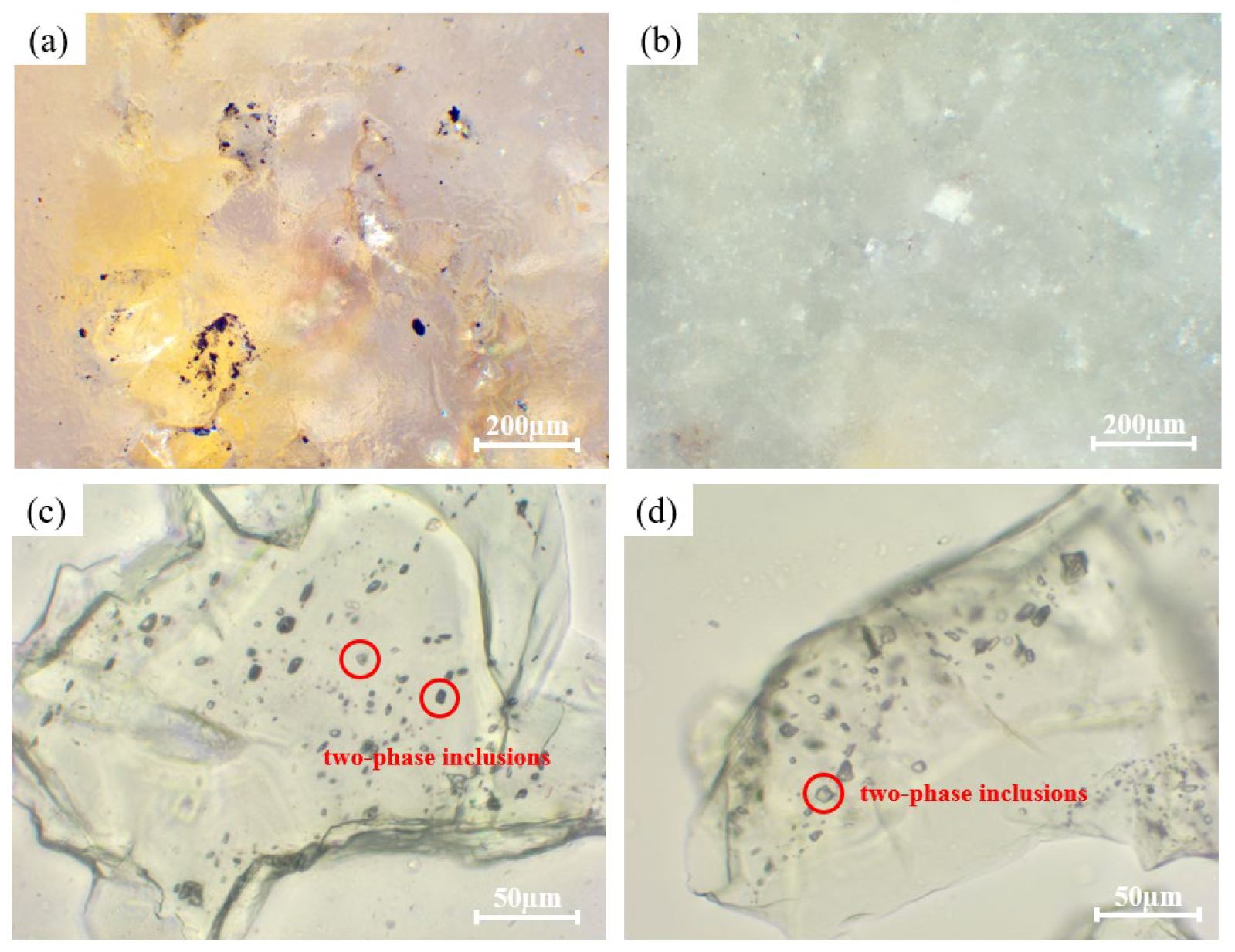 Minerals 15 01200 g003