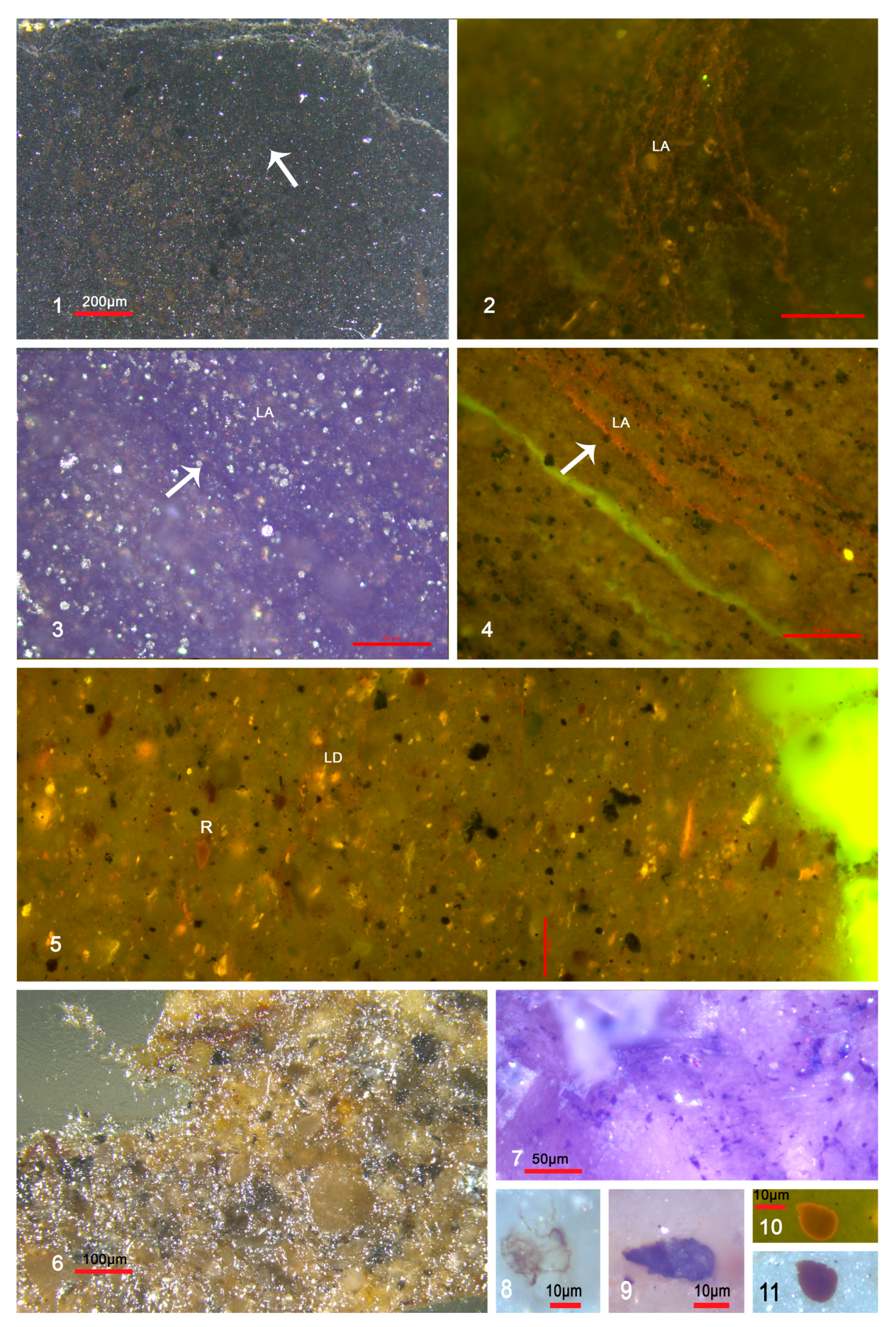 Minerals 15 01202 g004