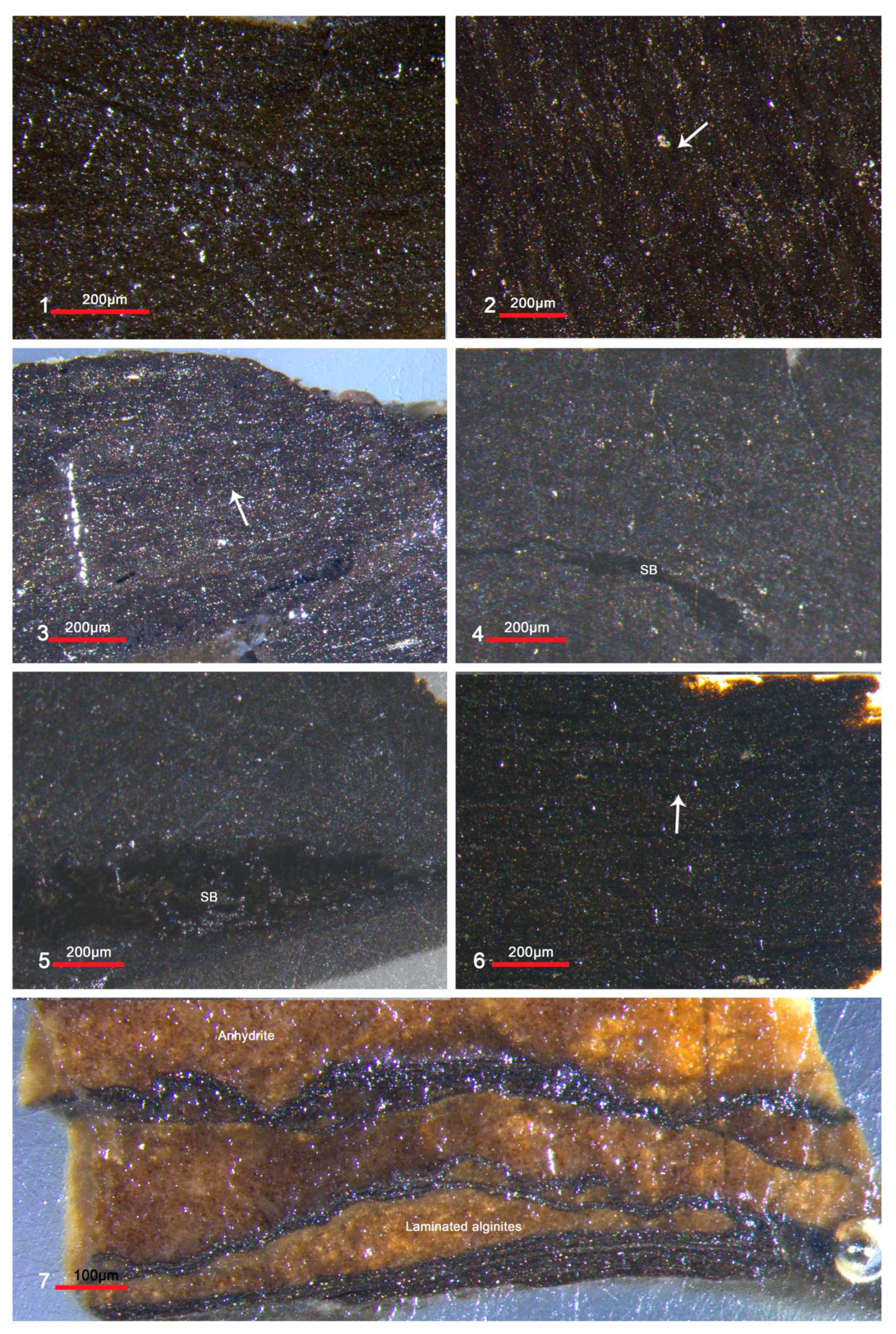 Minerals 15 01202 g005