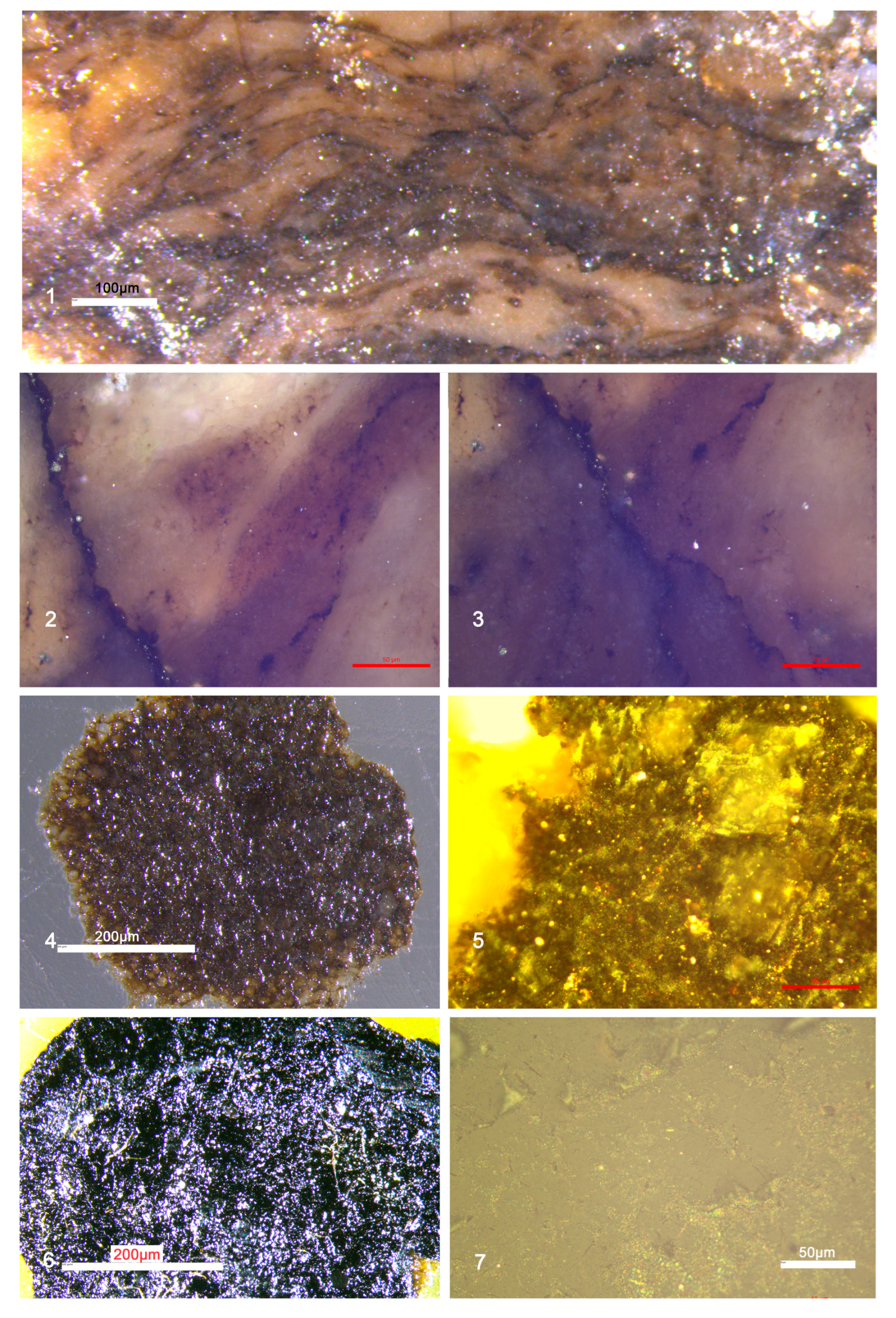 Minerals 15 01202 g006