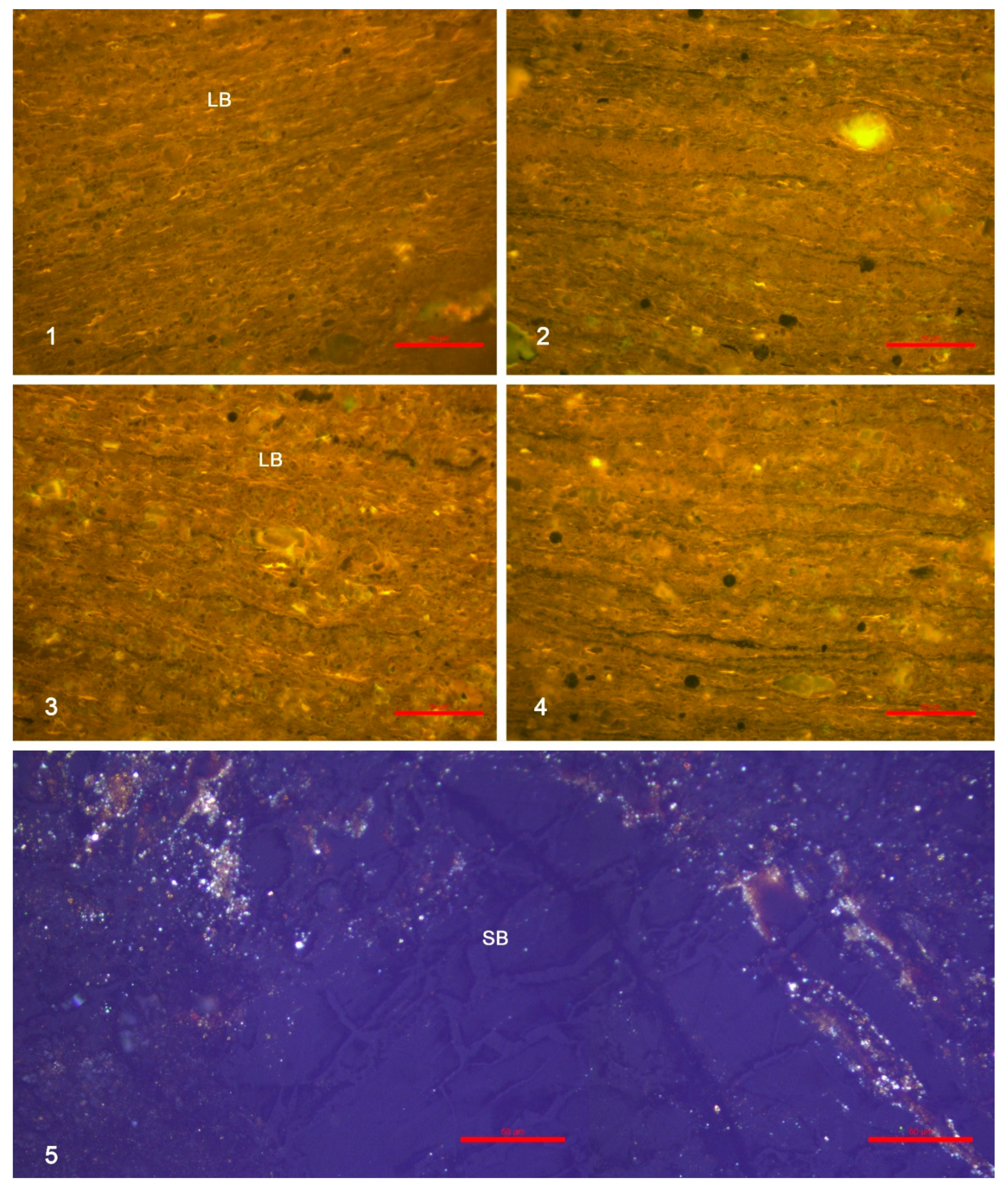 Minerals 15 01202 g010