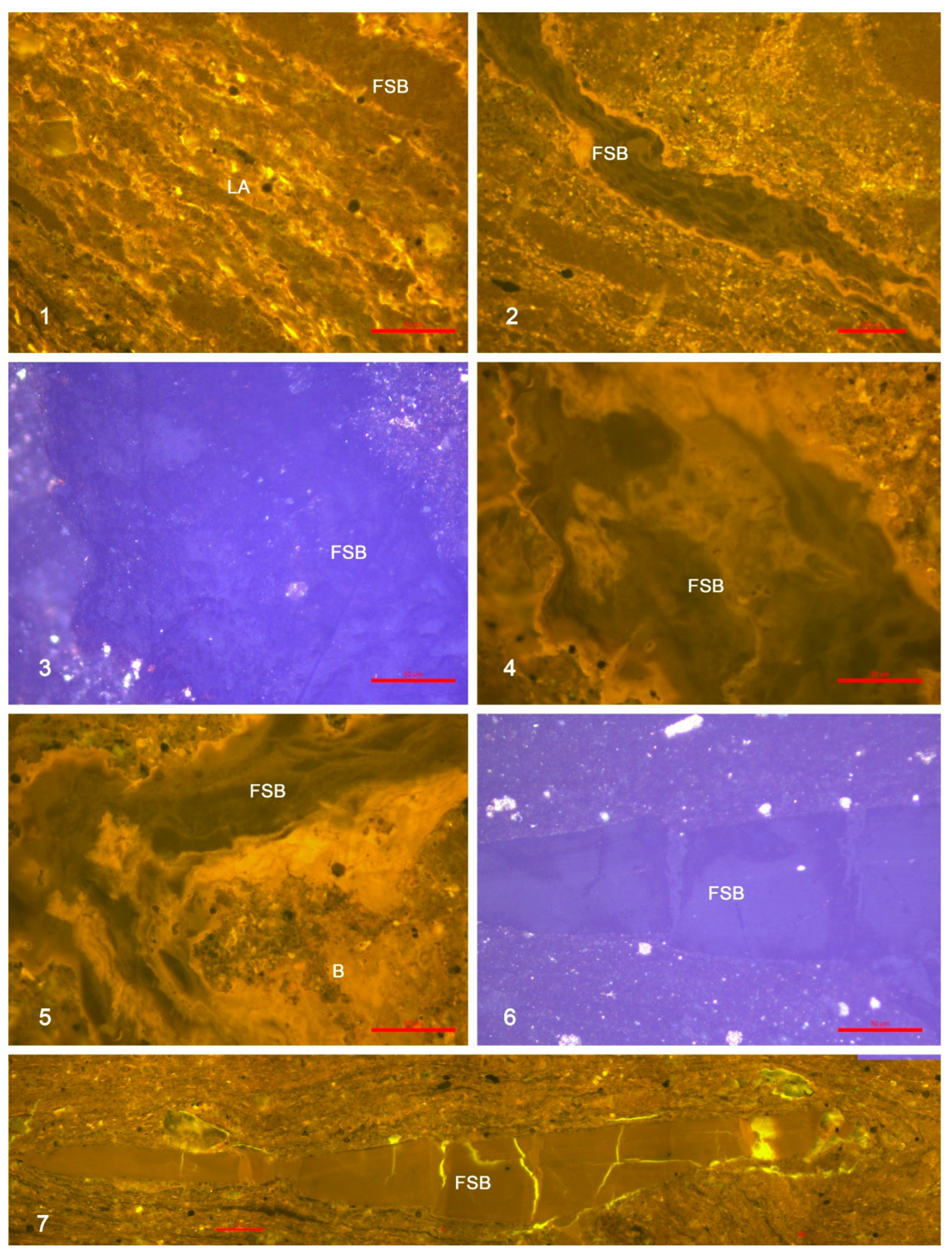 Minerals 15 01202 g011