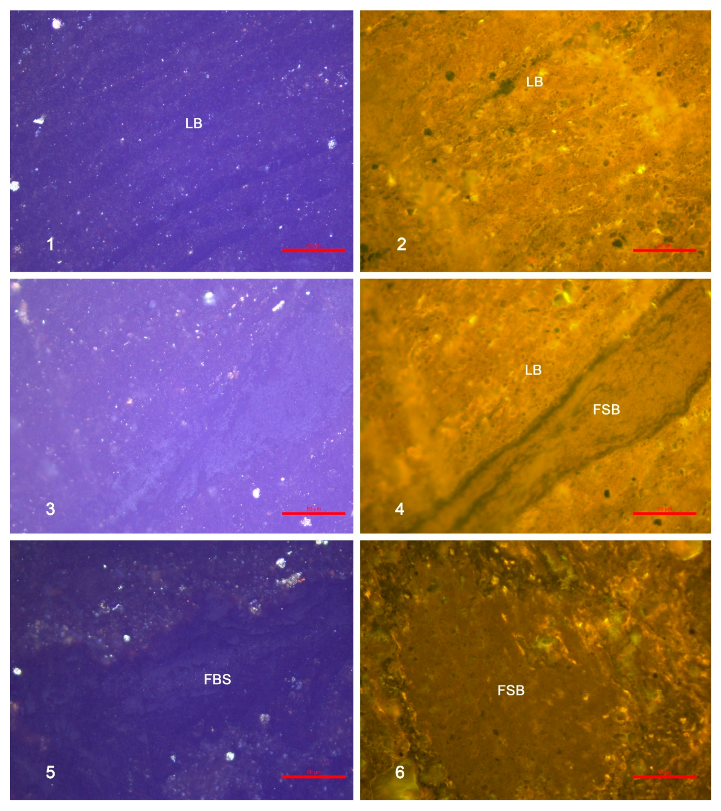 Minerals 15 01202 g012