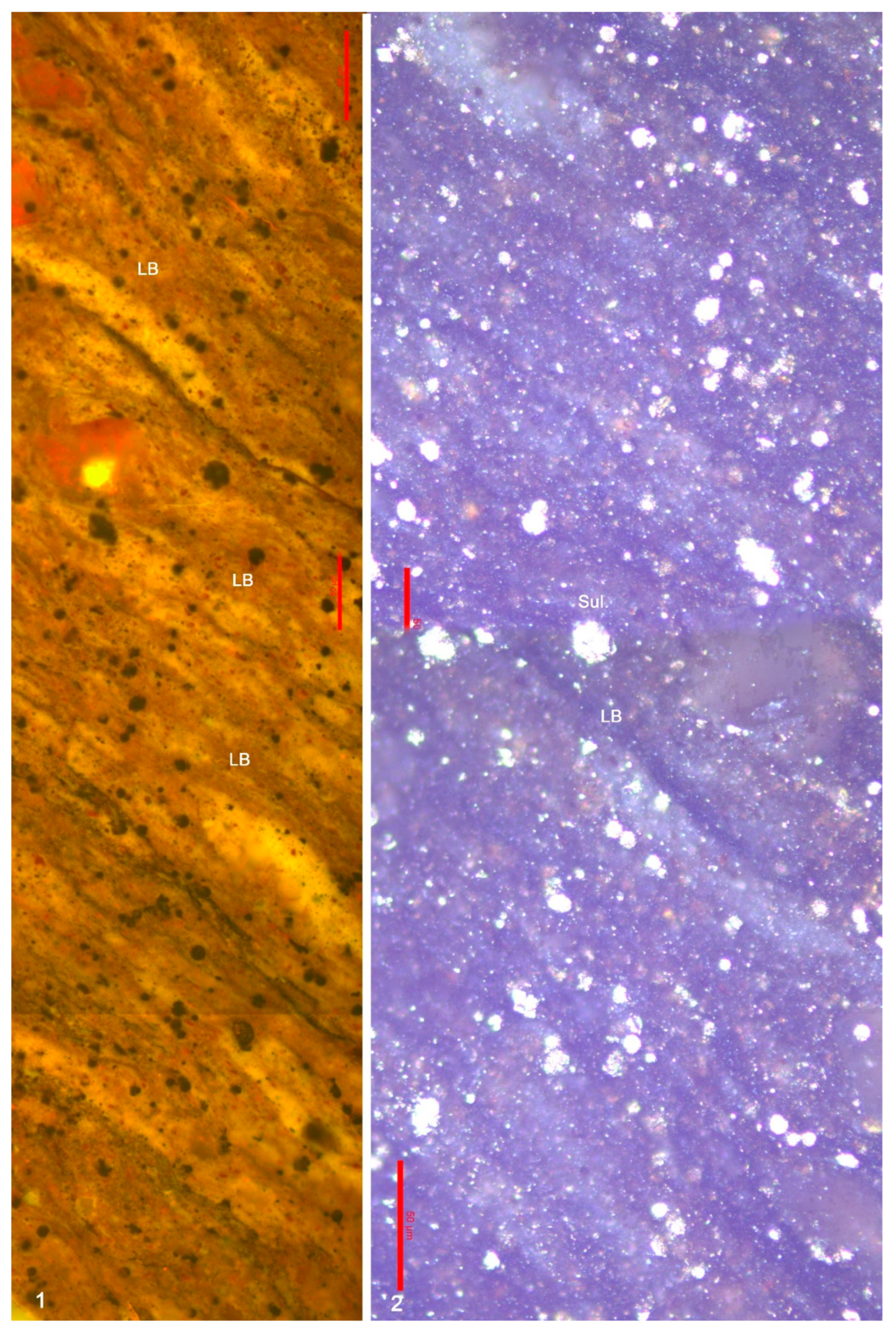 Minerals 15 01202 g013