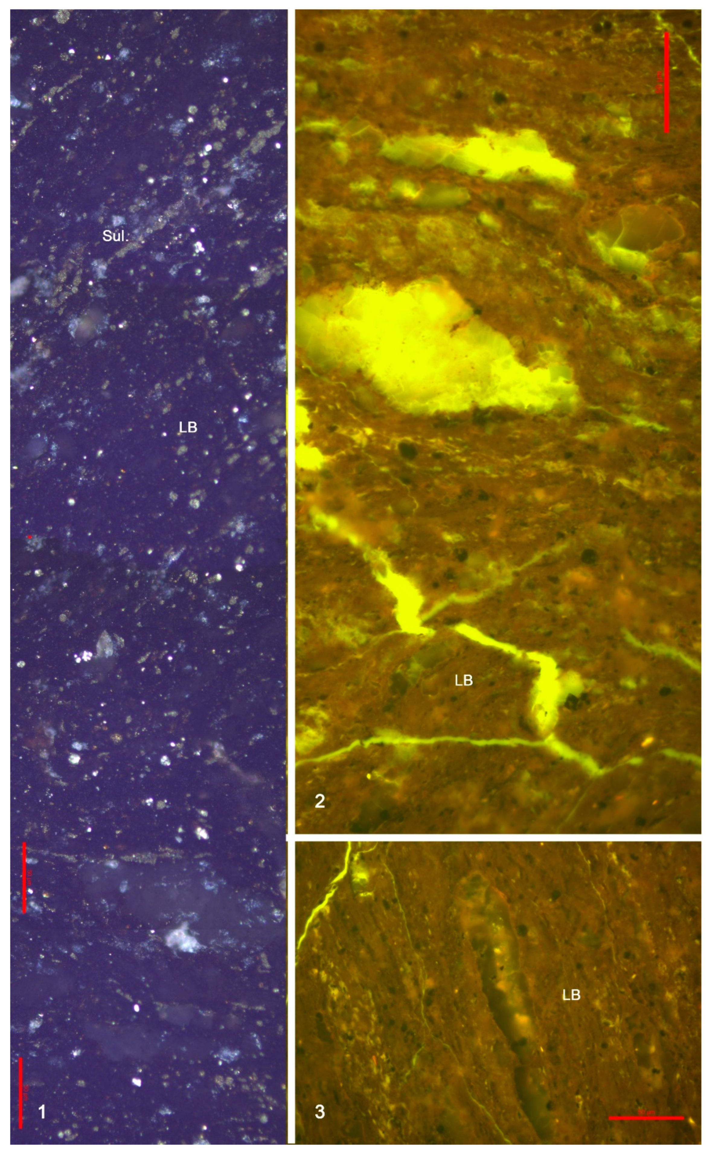 Minerals 15 01202 g014