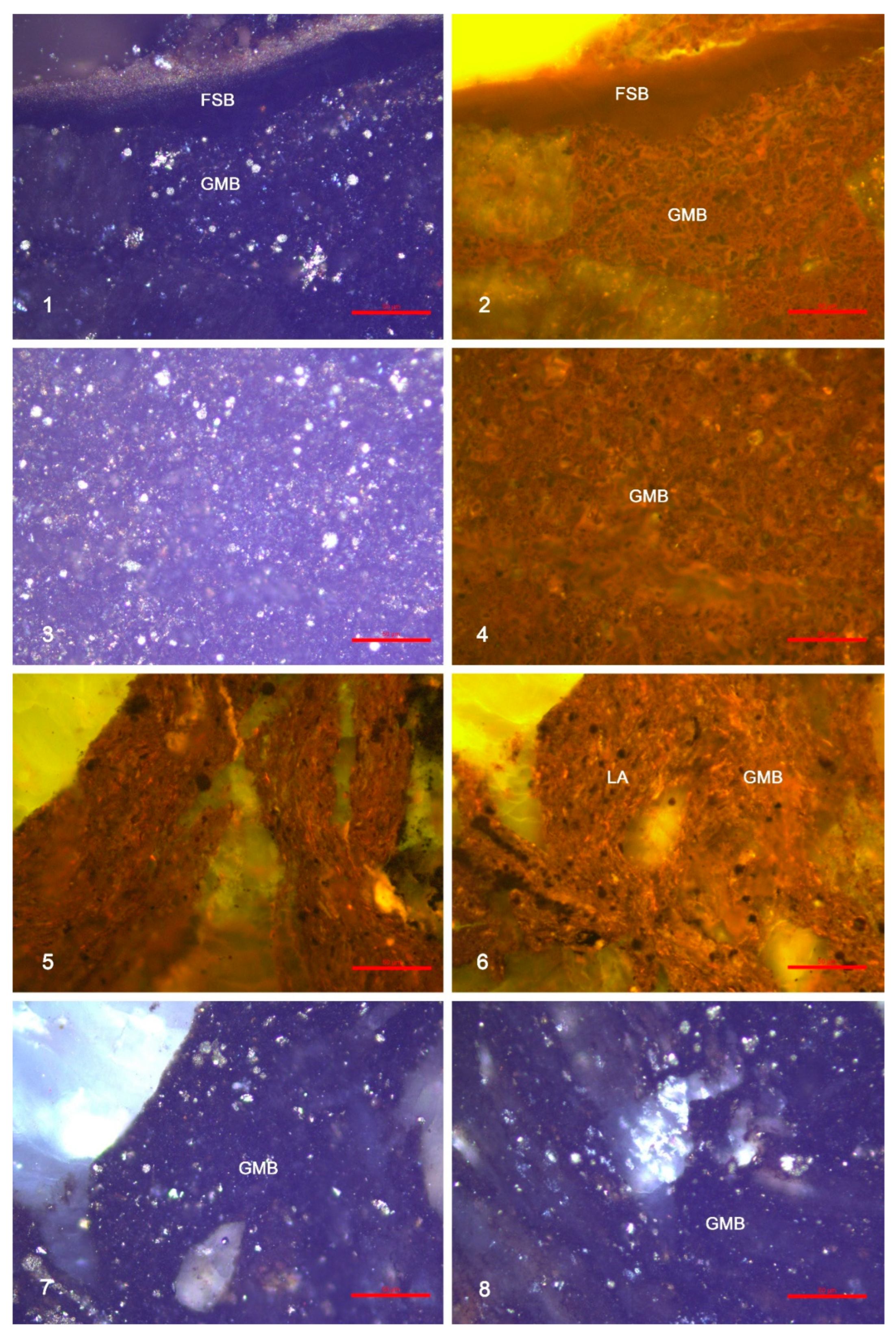 Minerals 15 01202 g016