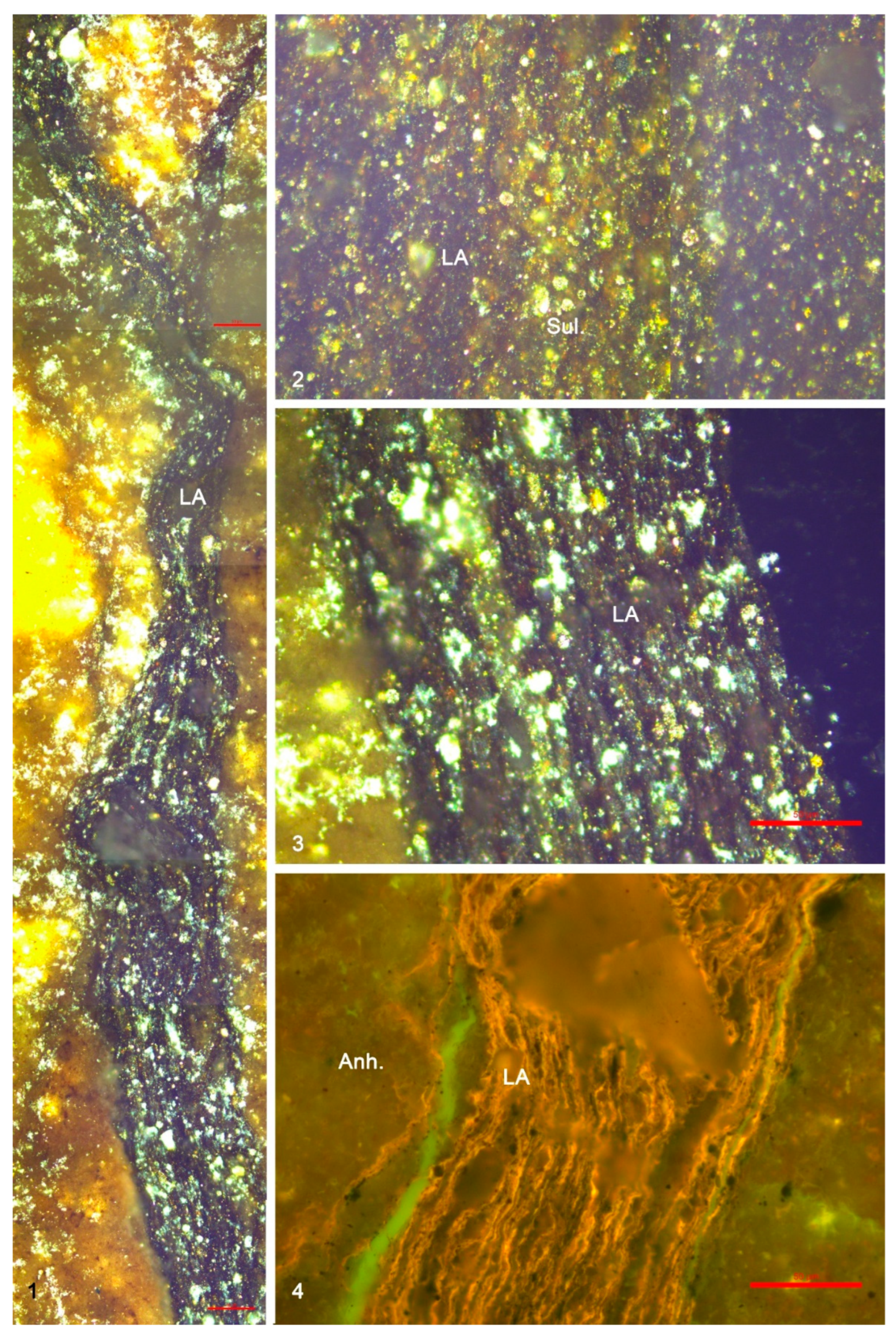 Minerals 15 01202 g017