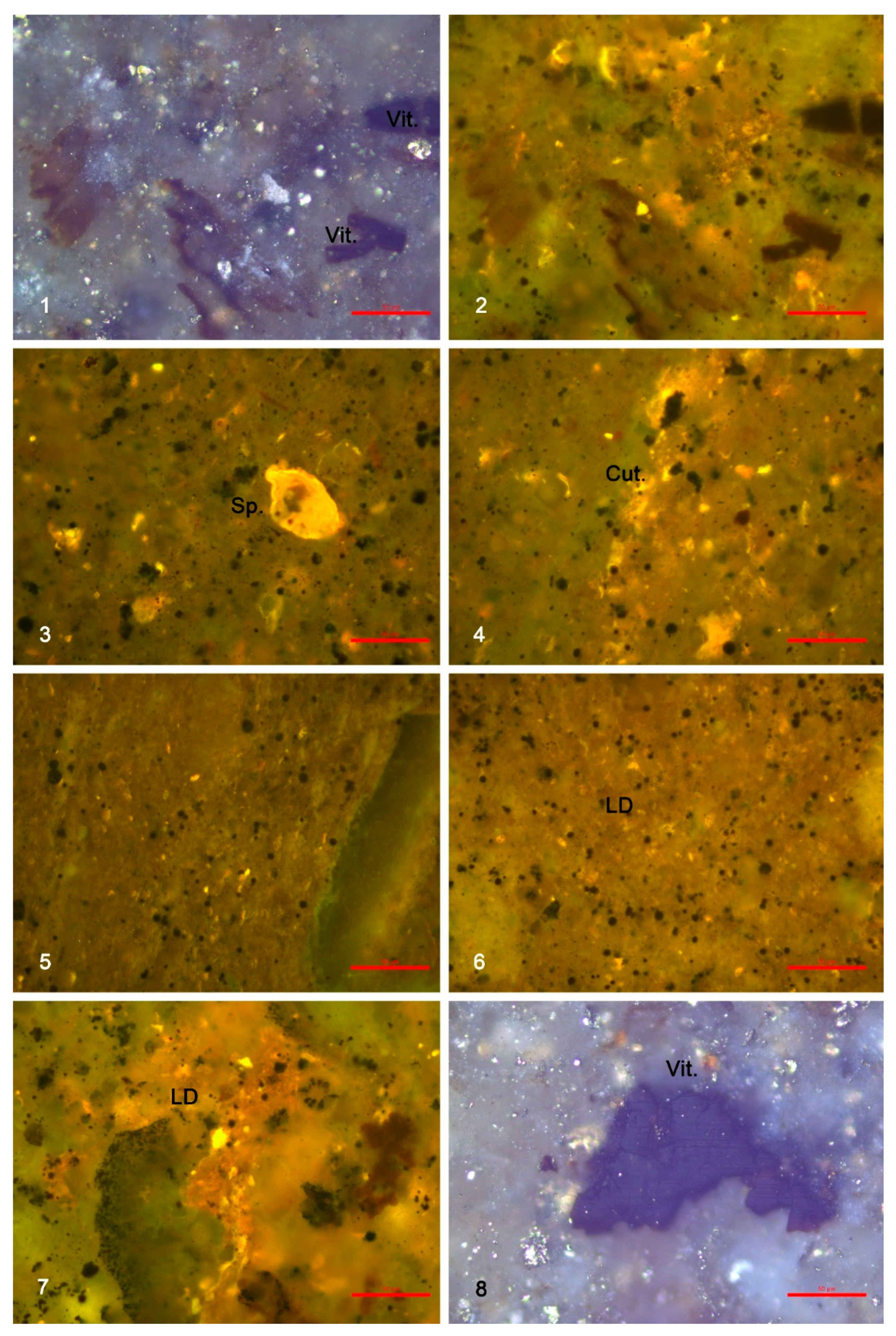 Minerals 15 01202 g019