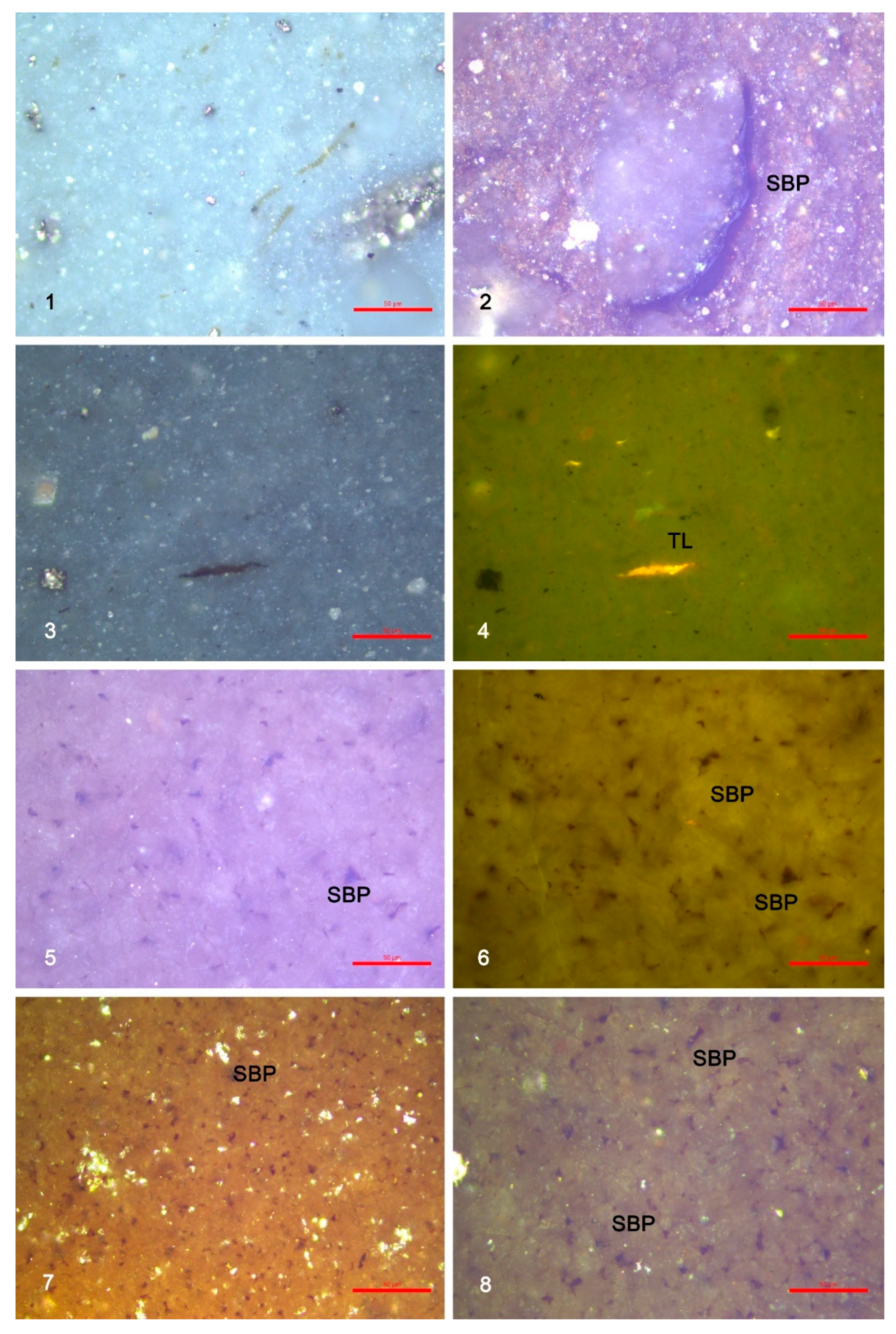 Minerals 15 01202 g020