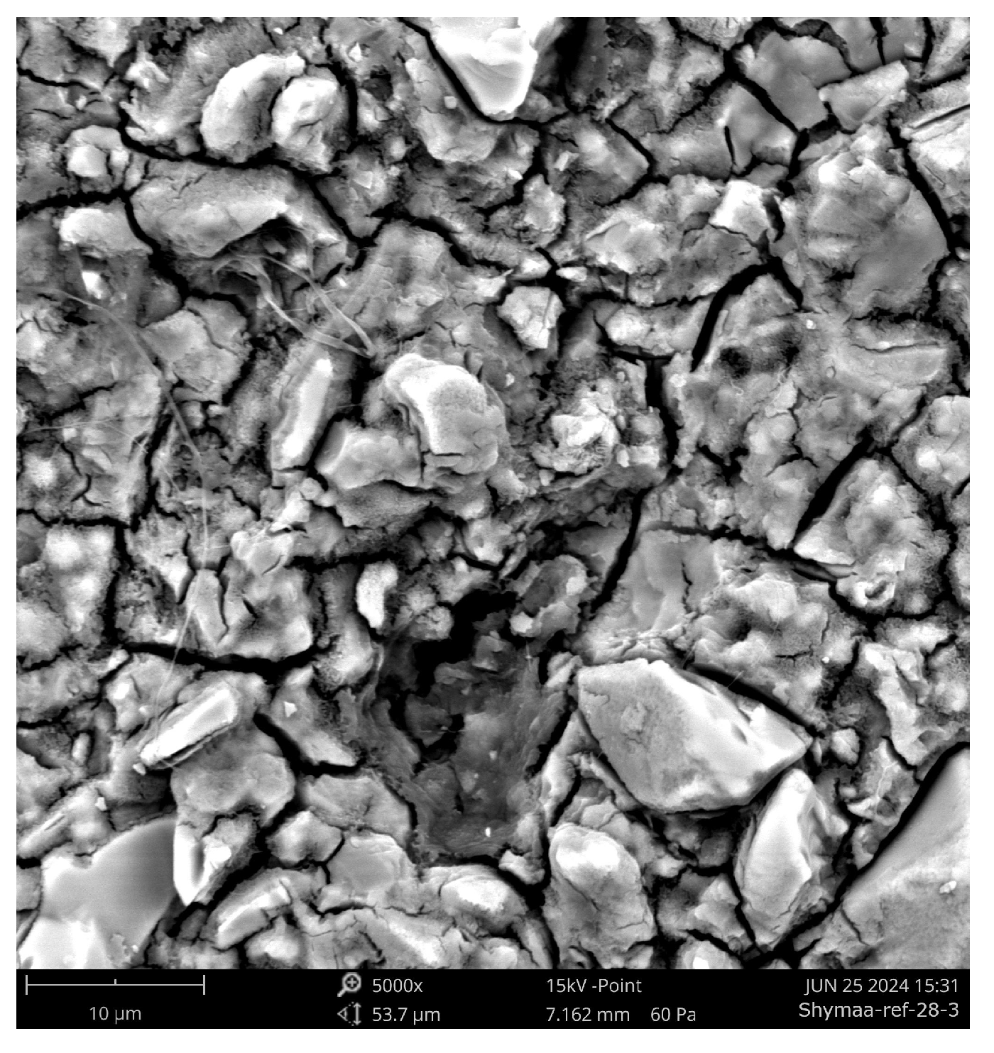 Minerals 15 01229 g019