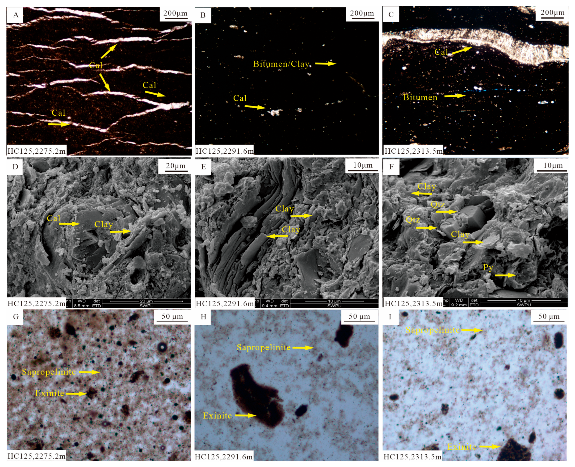Minerals 15 01230 g003