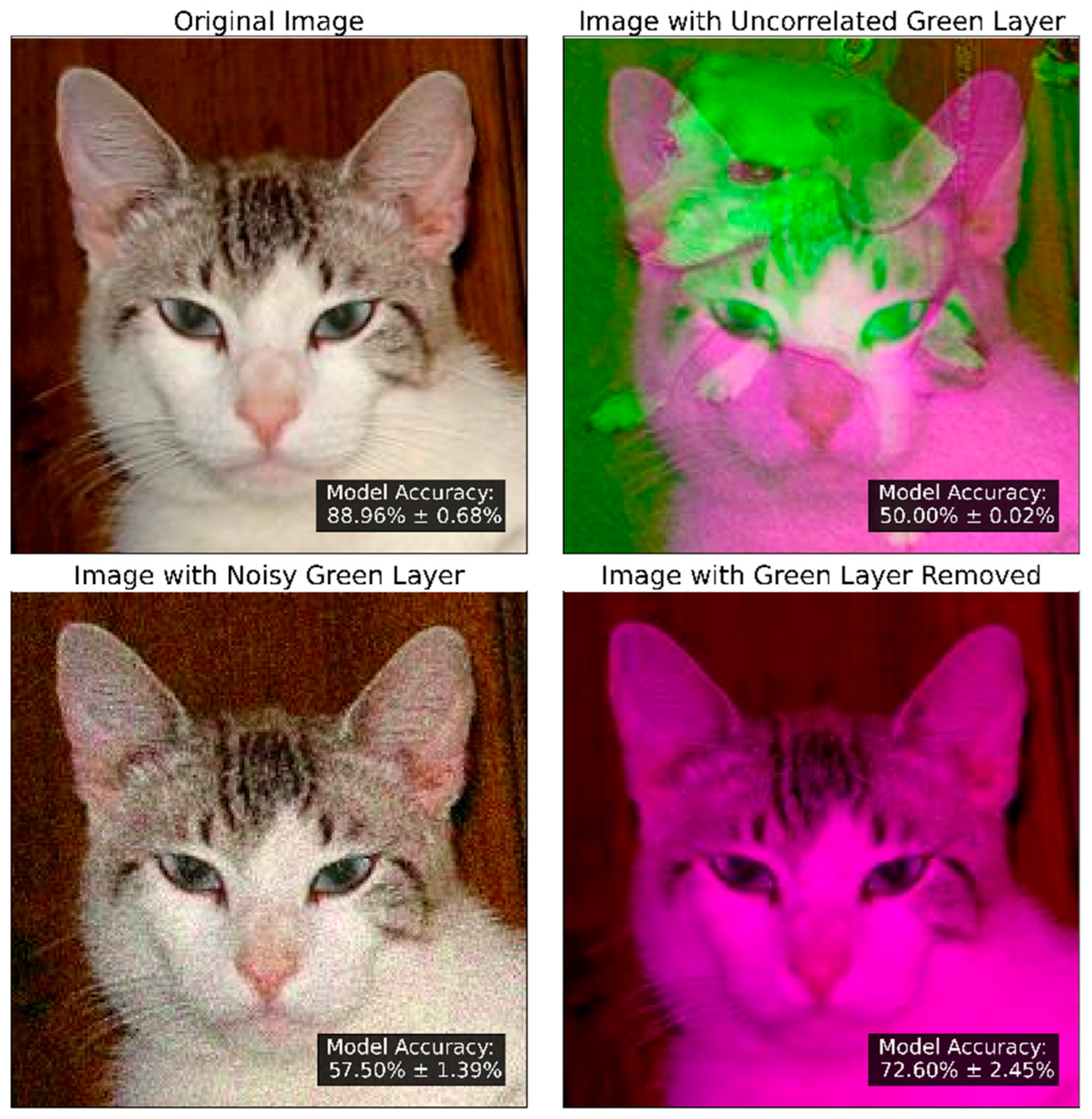 Minerals 15 01237 g001