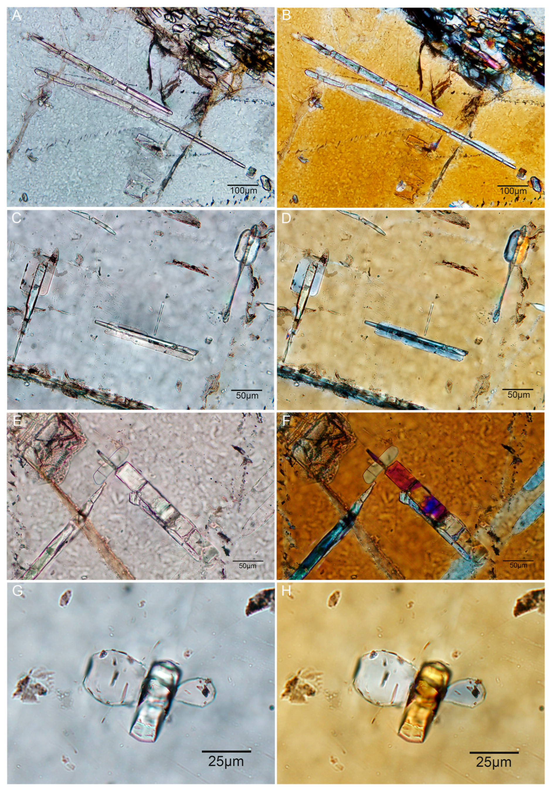 Minerals 15 01240 g014 Minerals 15 01240 g014