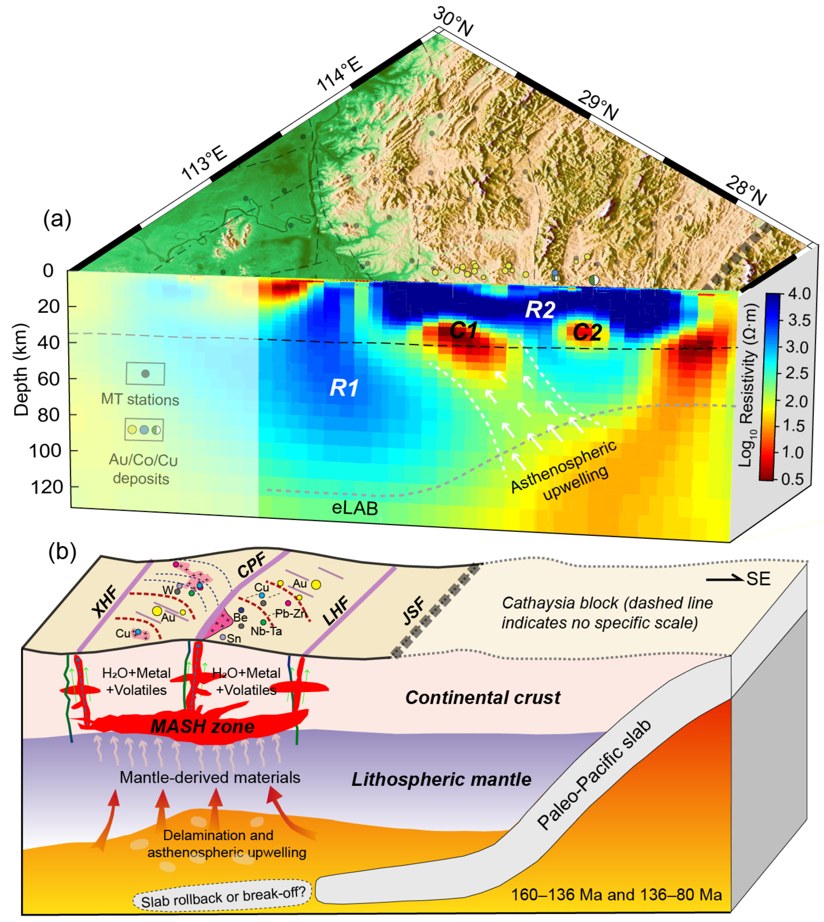 Minerals 15 01244 g010