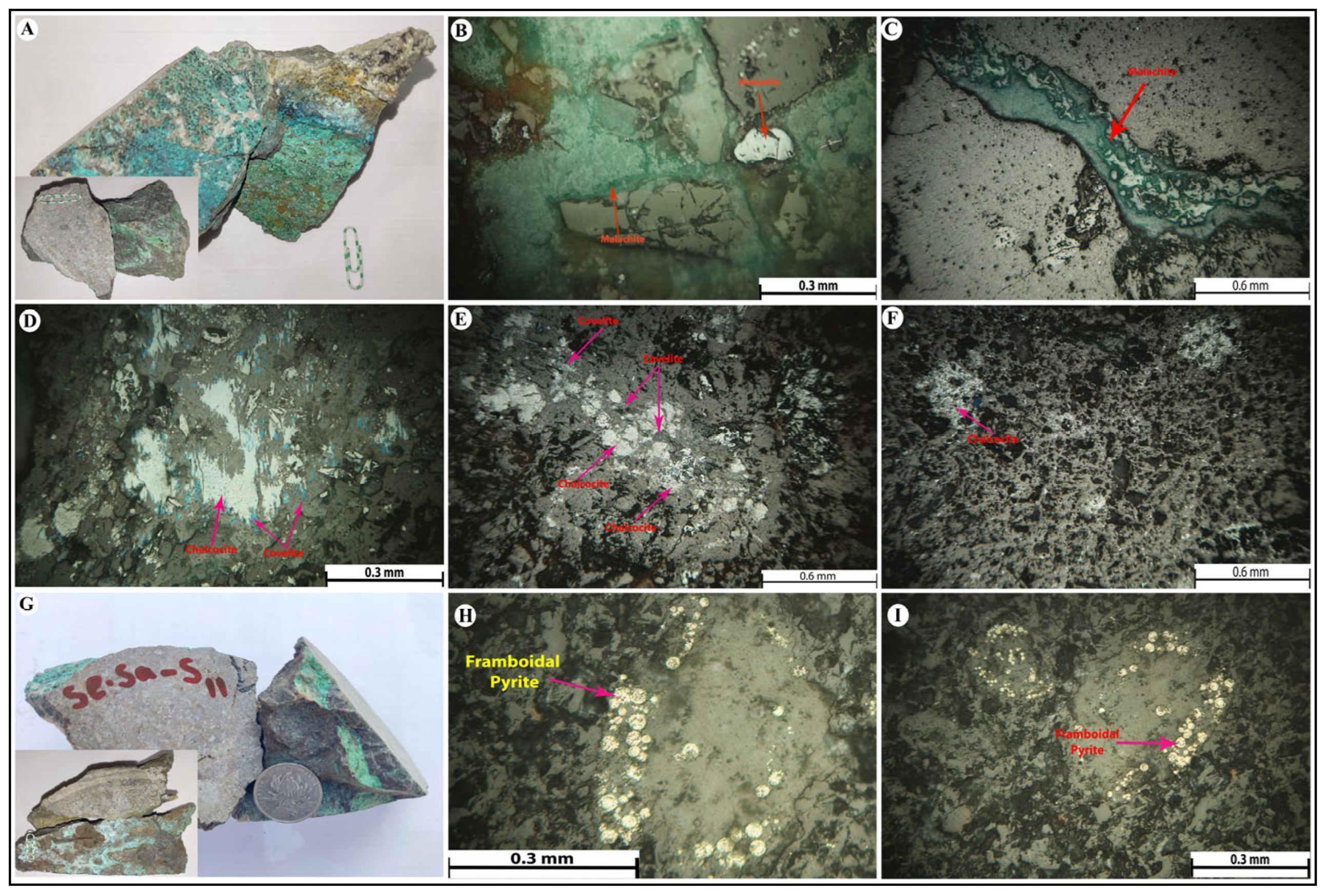 Minerals 15 01246 g008