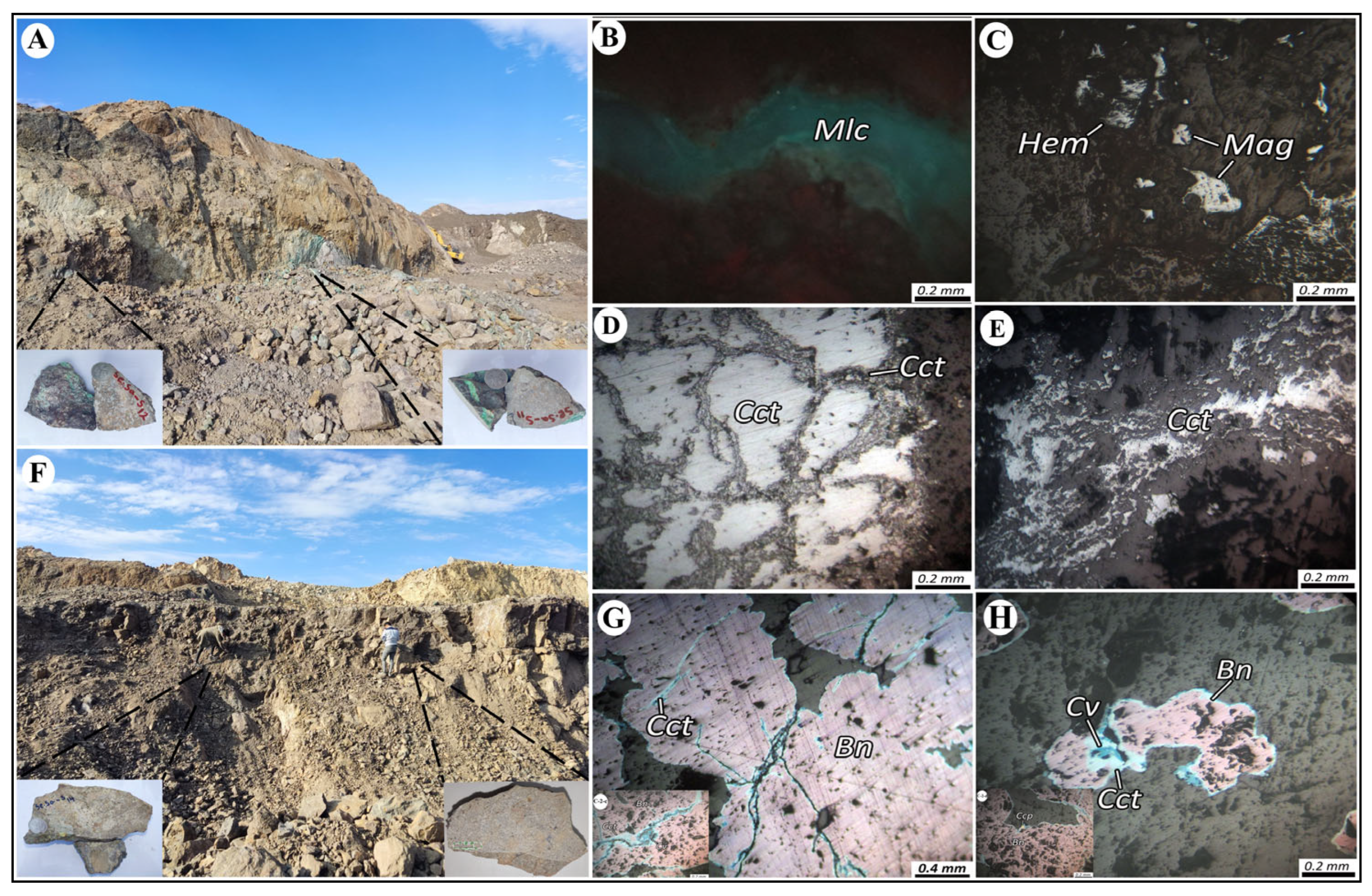 Minerals 15 01246 g009