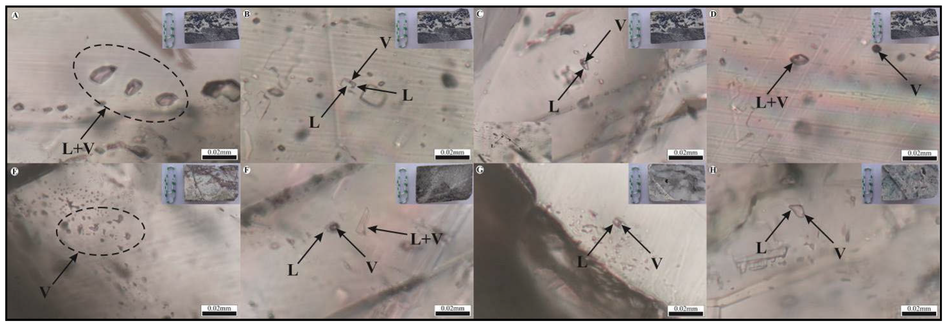 Minerals 15 01246 g015