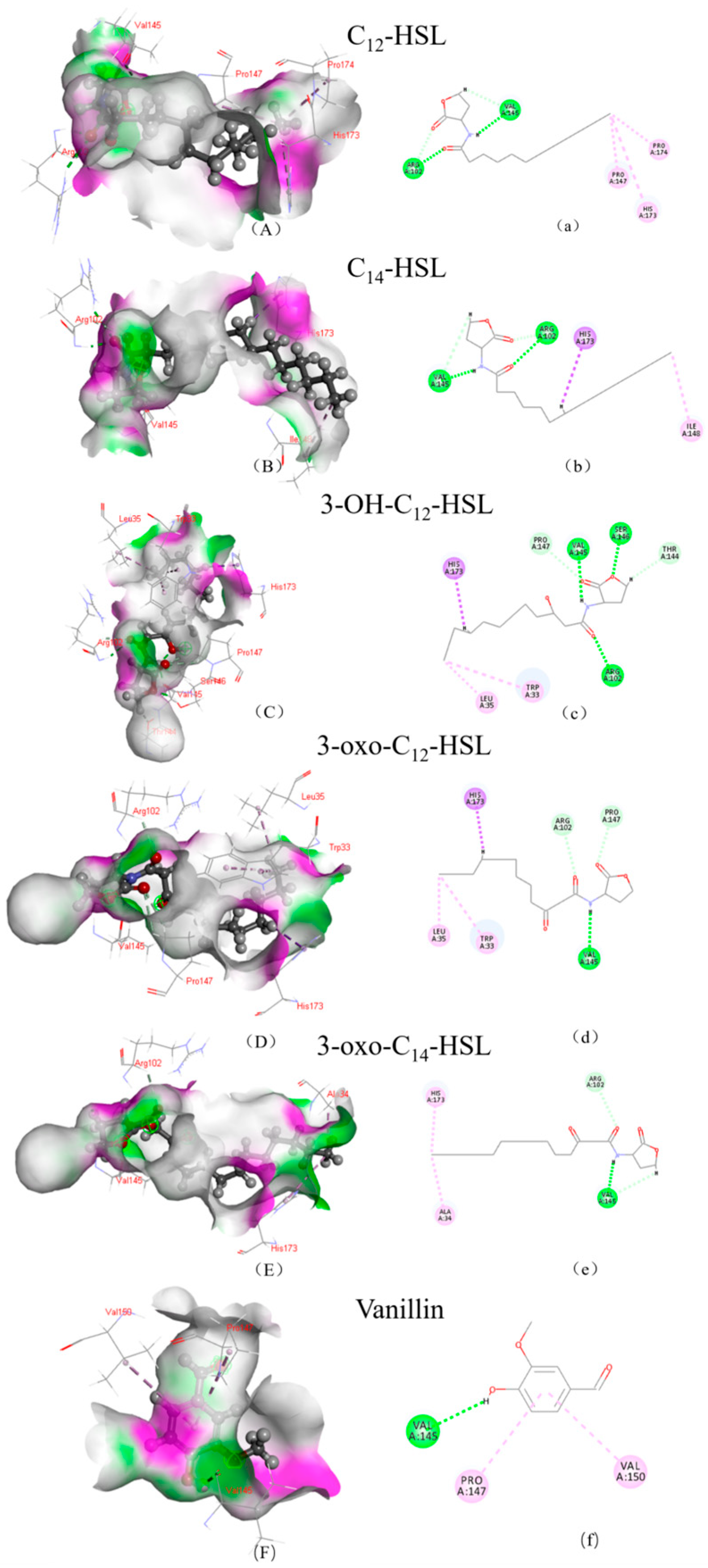 Minerals 15 01248 g004