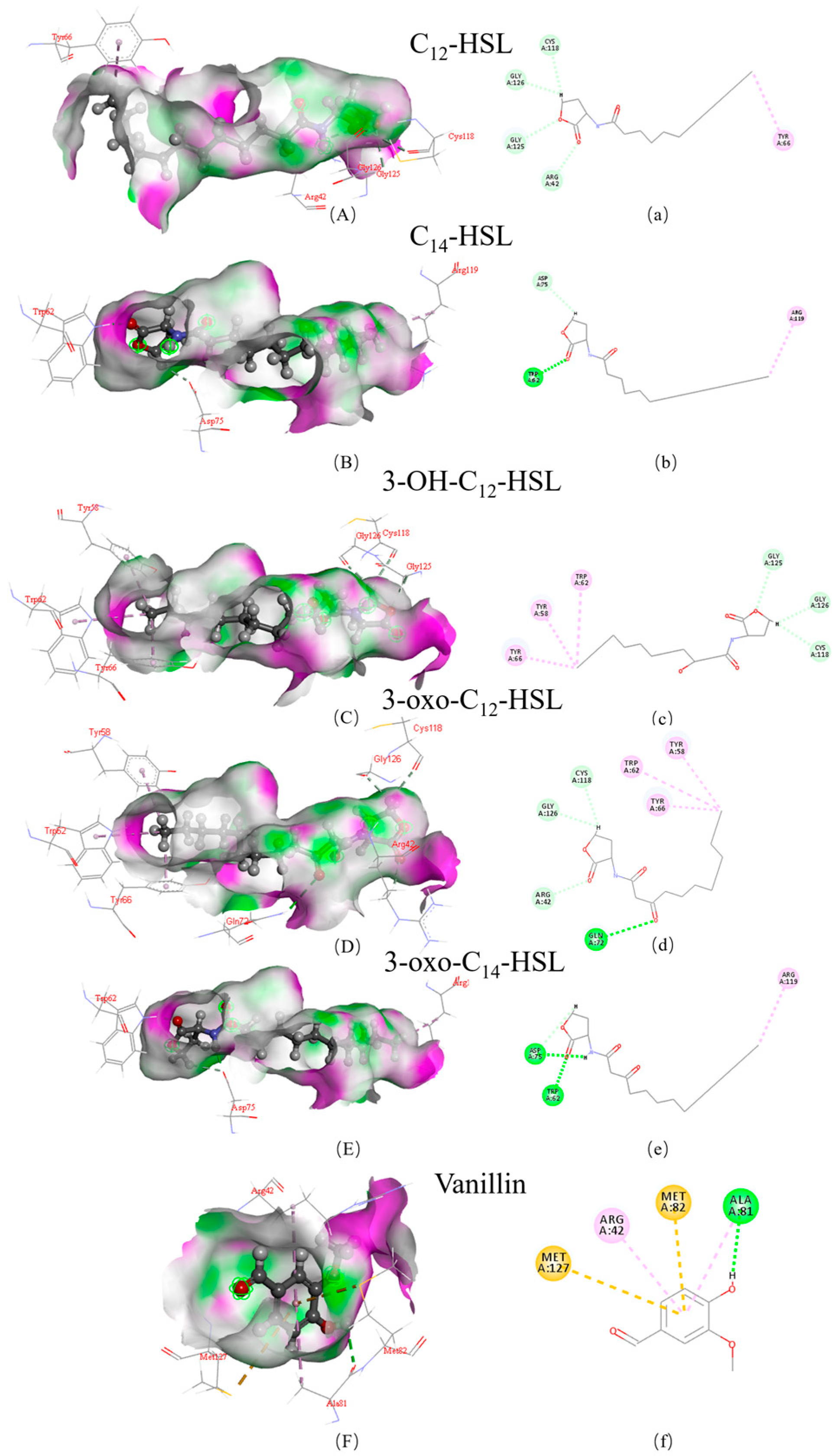 Minerals 15 01248 g005