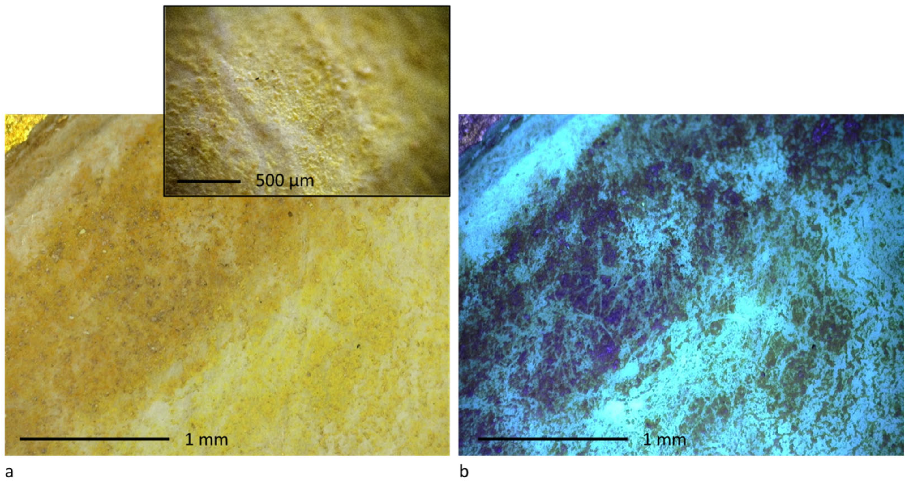 Minerals 15 01252 g013