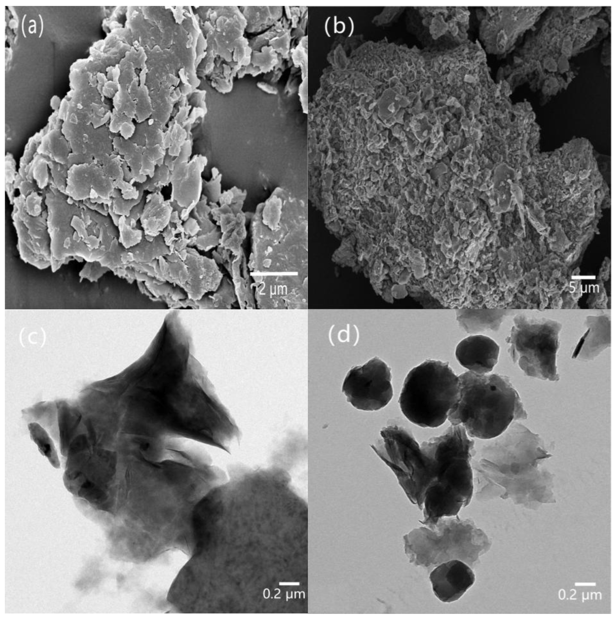 Minerals 15 01263 g005