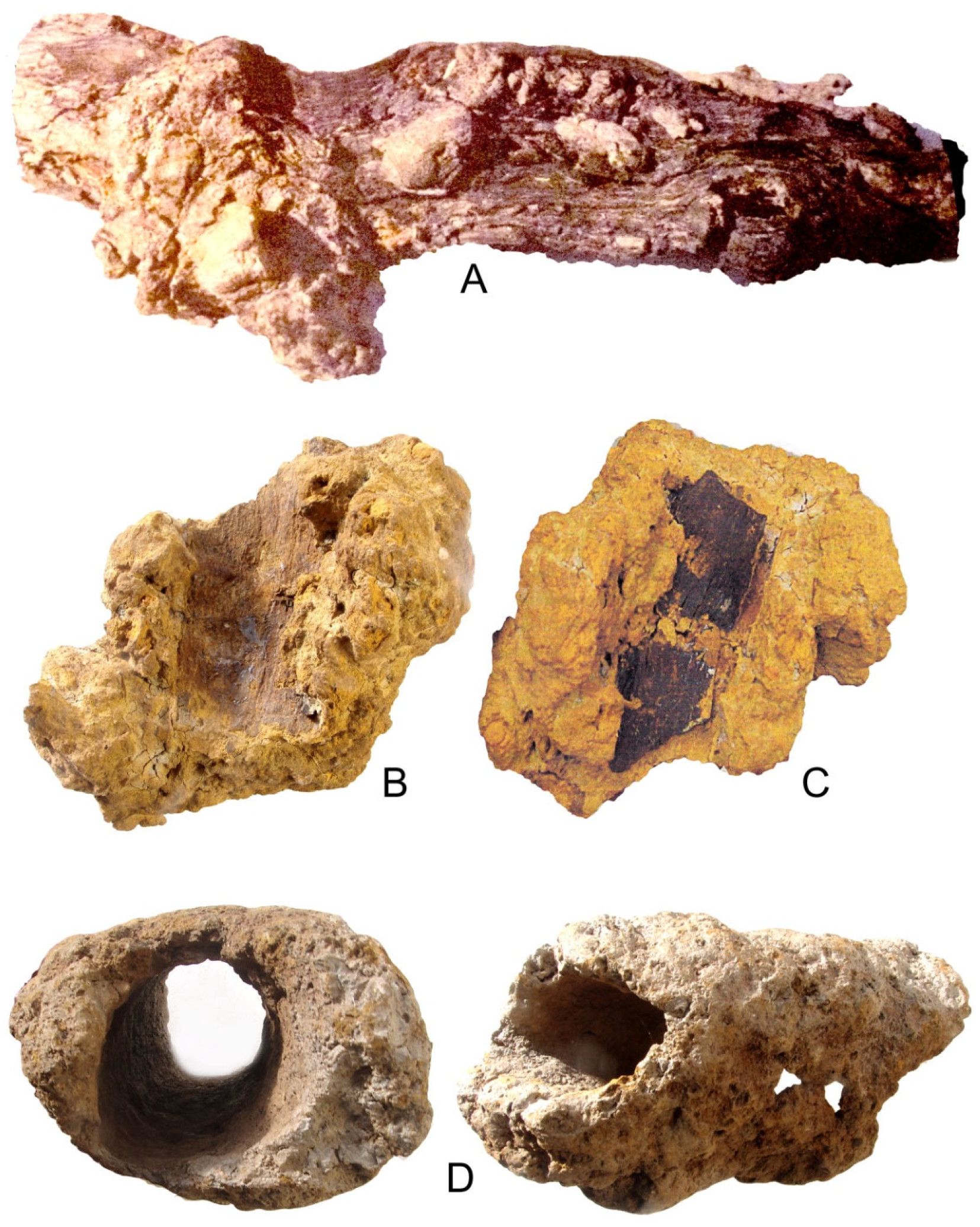 Minerals 15 01271 g026