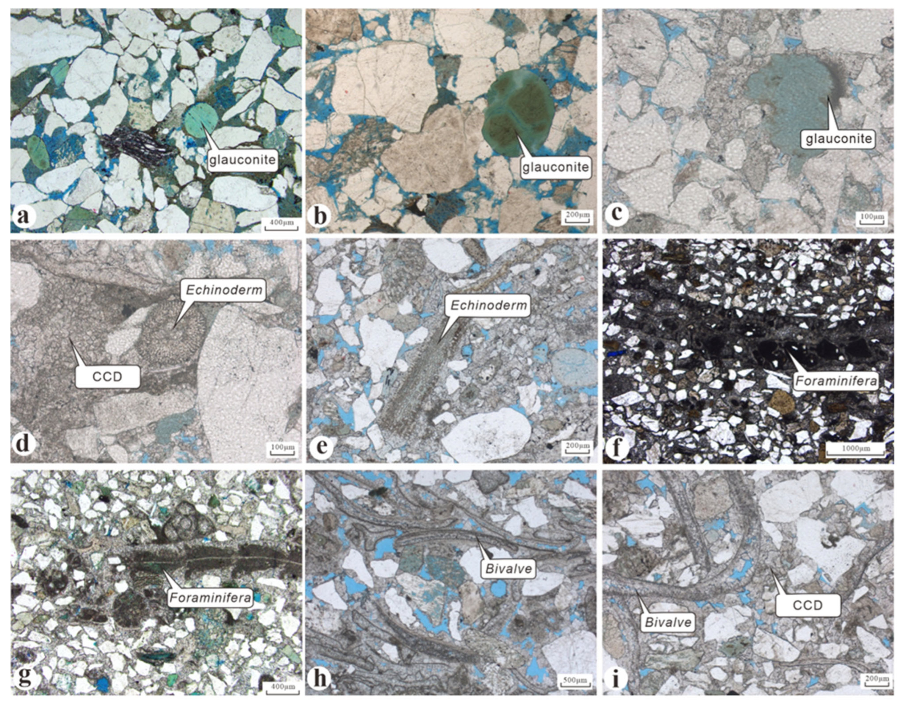 Minerals 15 01285 g003 Minerals 15 01285 g003