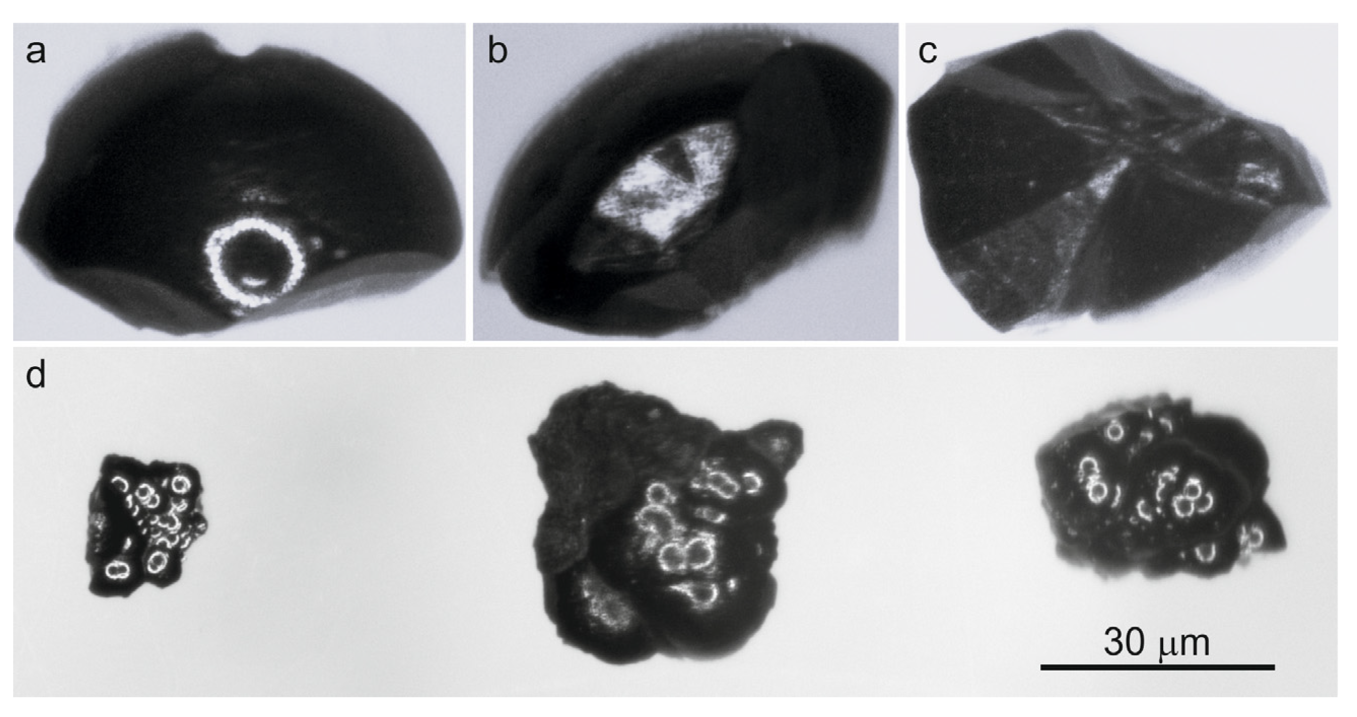 Minerals 15 01294 g002