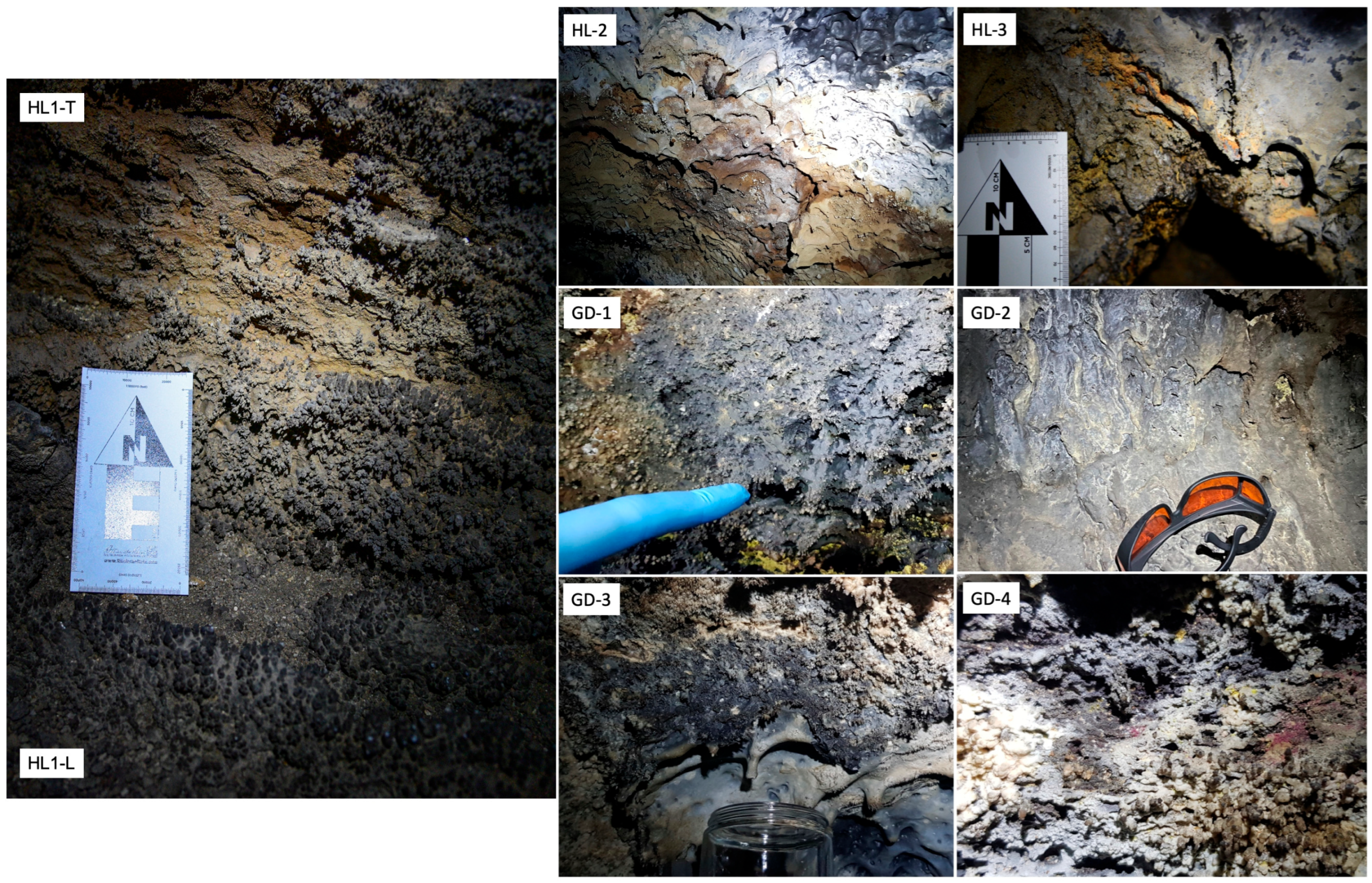 Minerals 15 01303 g001 Minerals 15 01303 g001