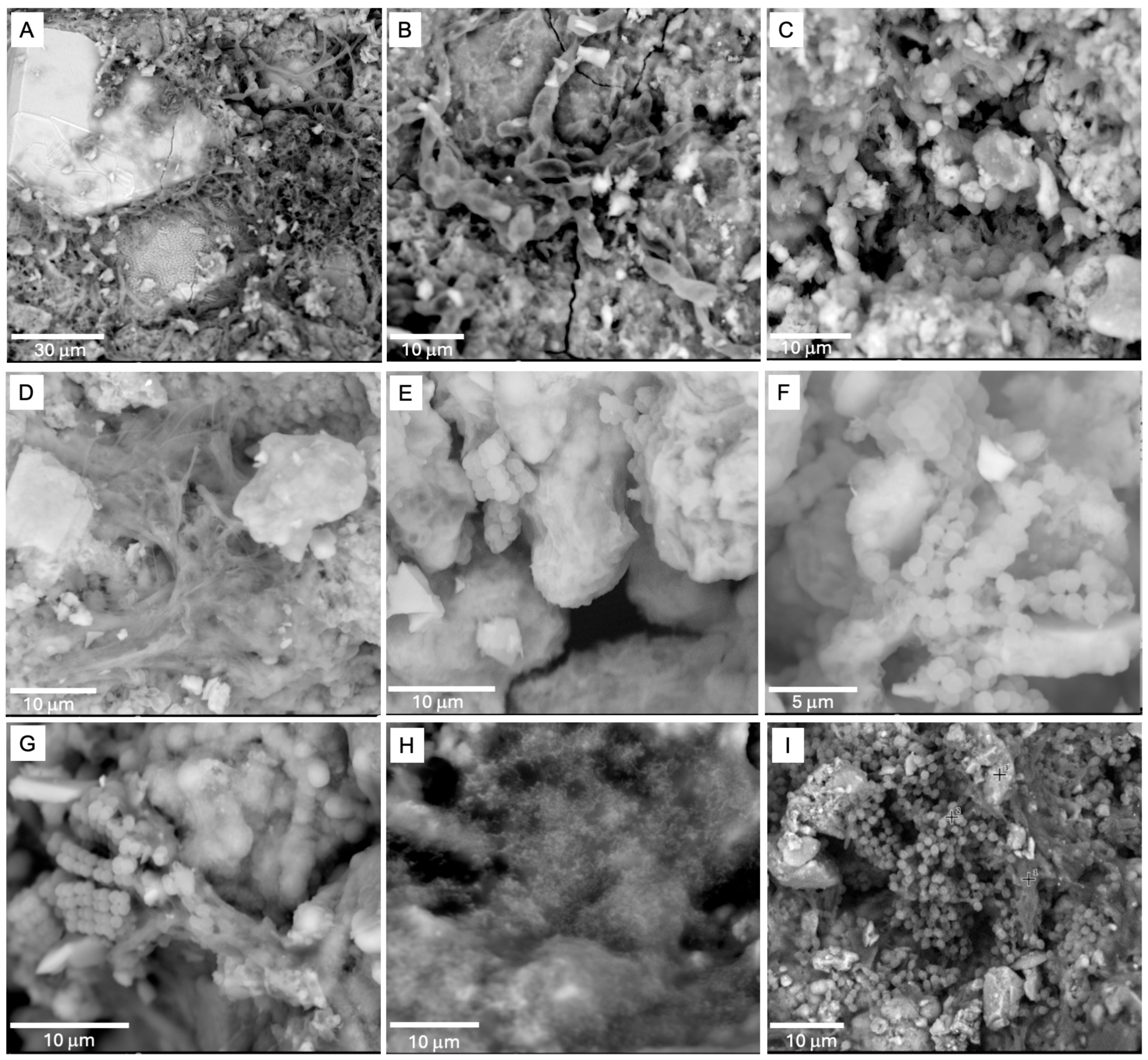 Minerals 15 01303 g003 Minerals 15 01303 g003
