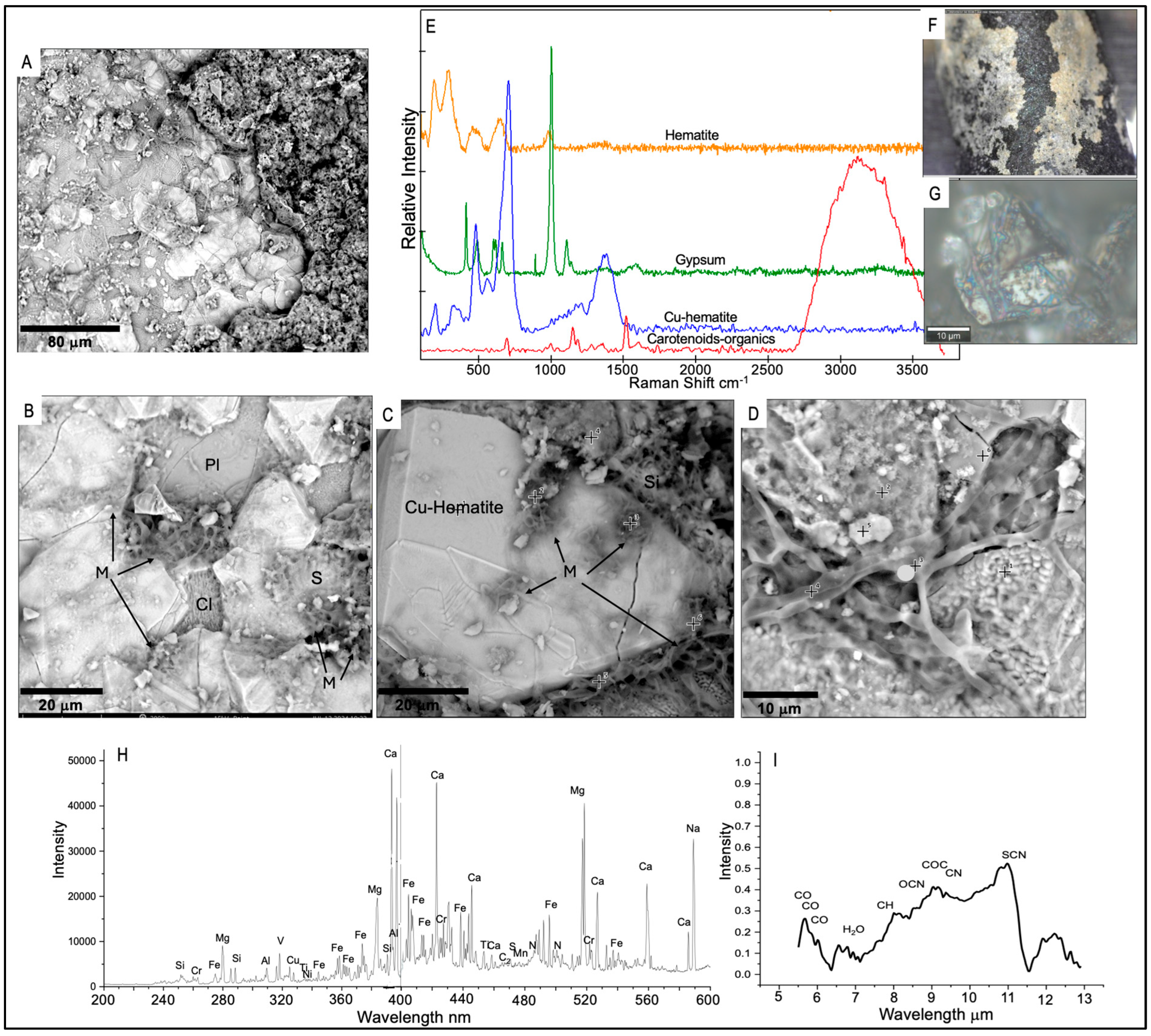 Minerals 15 01303 g006 Minerals 15 01303 g006