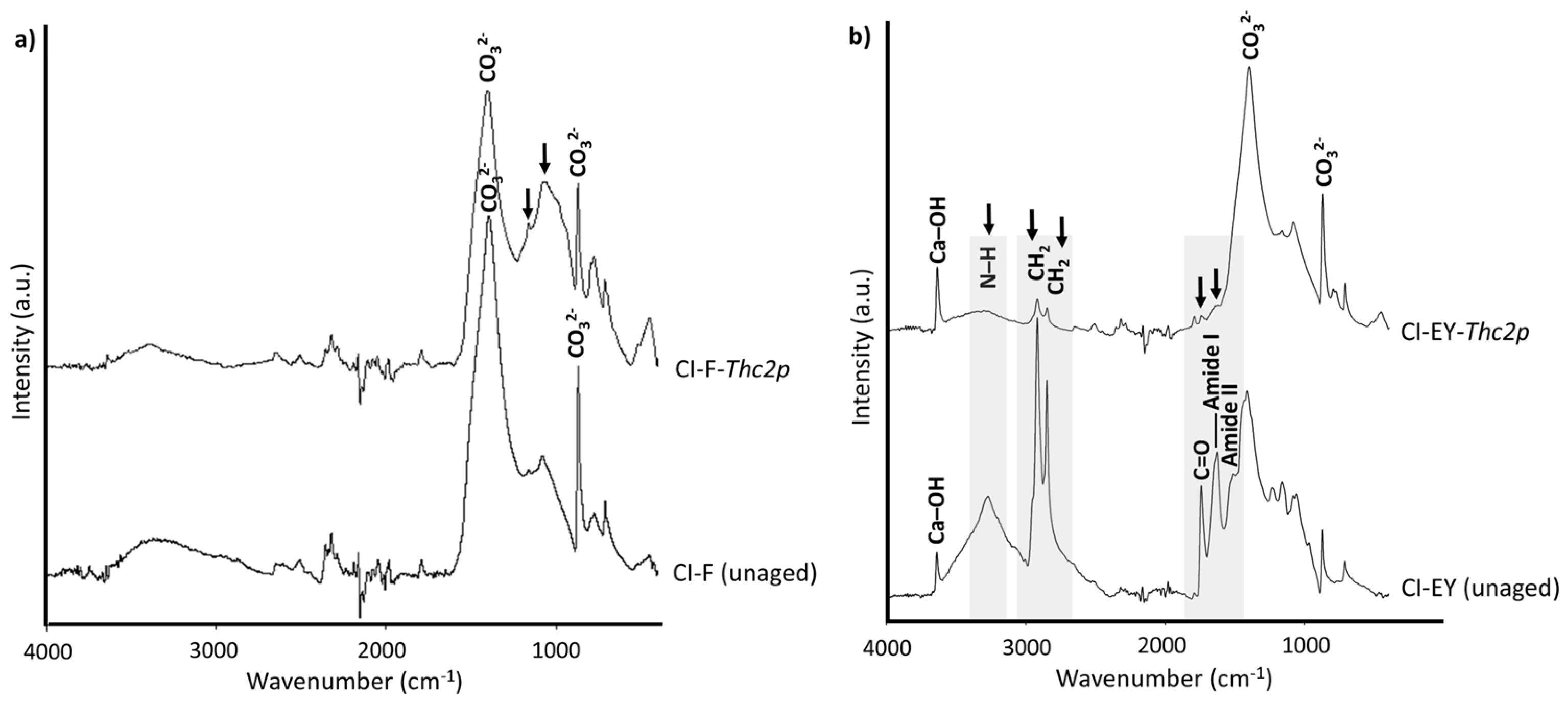 Minerals 16 00010 g007