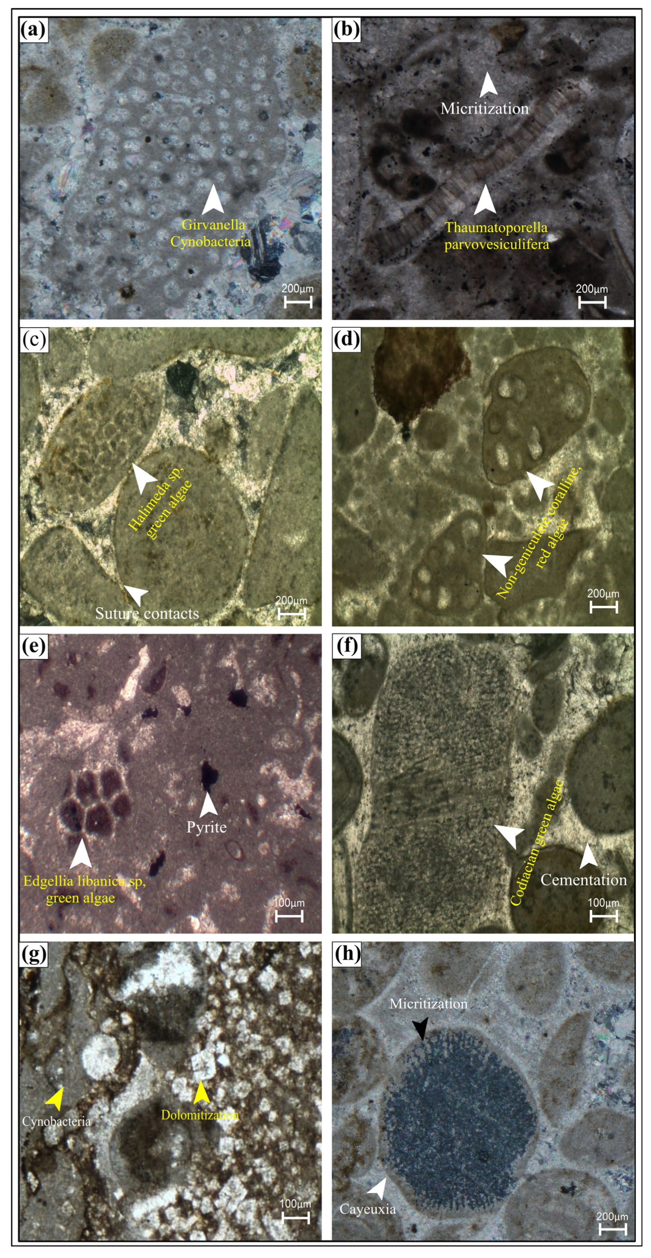 Minerals 16 00111 g004