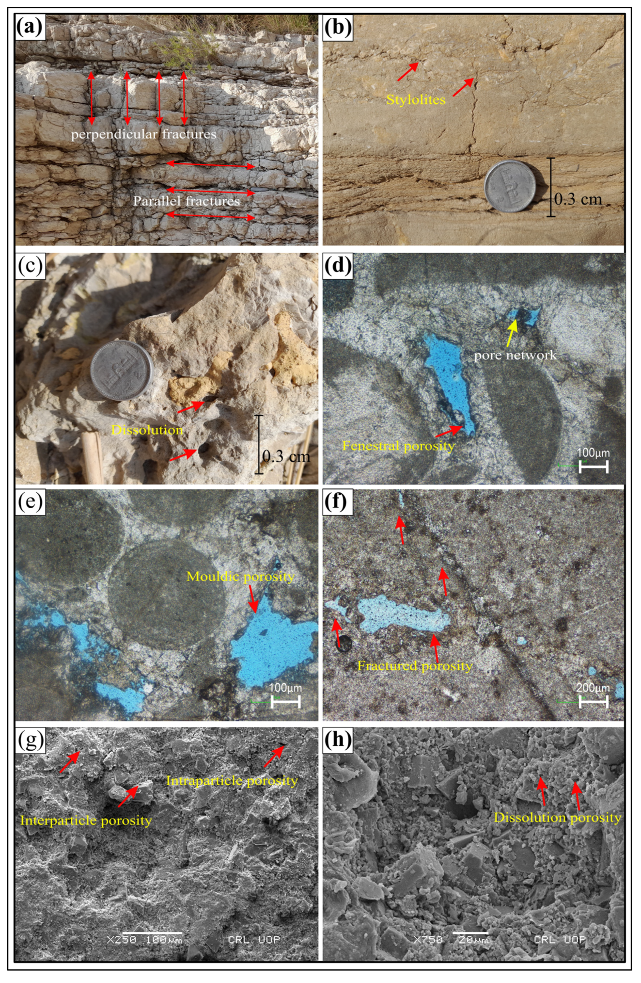 Minerals 16 00111 g010