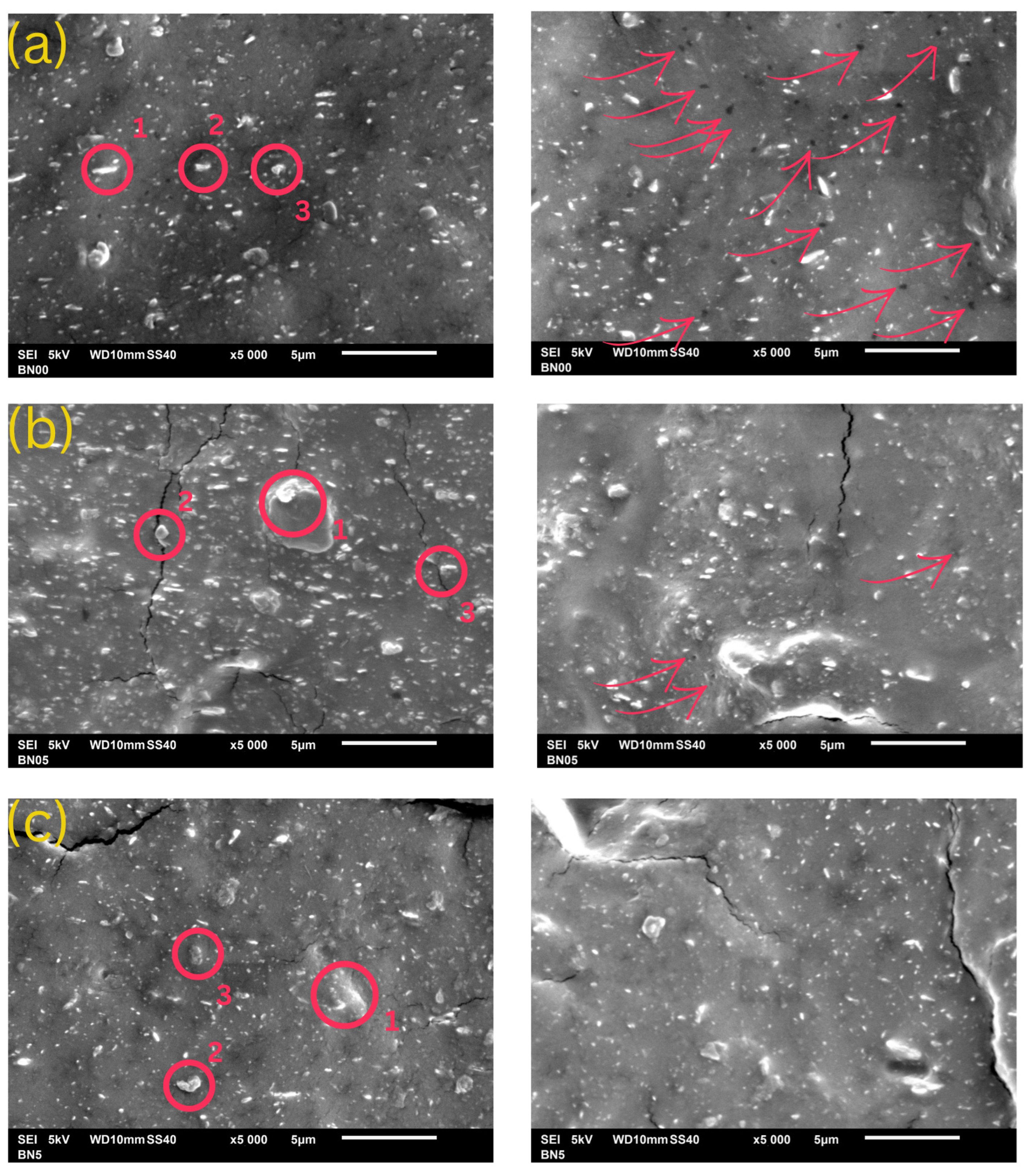 Minerals 16 00149 g019