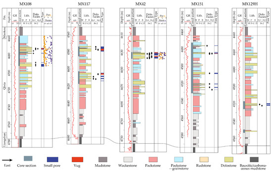 Lithofacies and Pore Structures of the Permian Qixia Dolostone