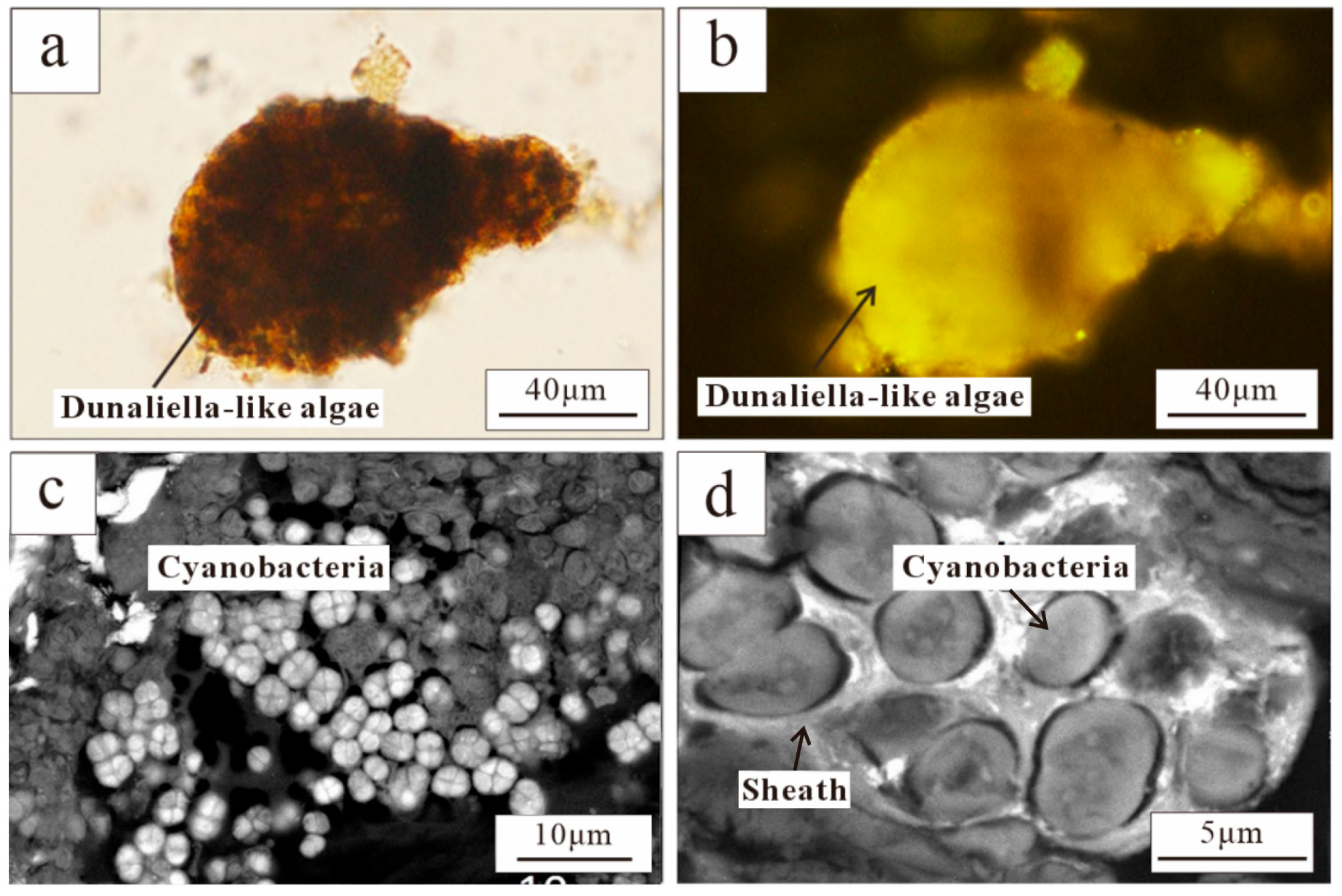 Minerals 16 00268 g004
