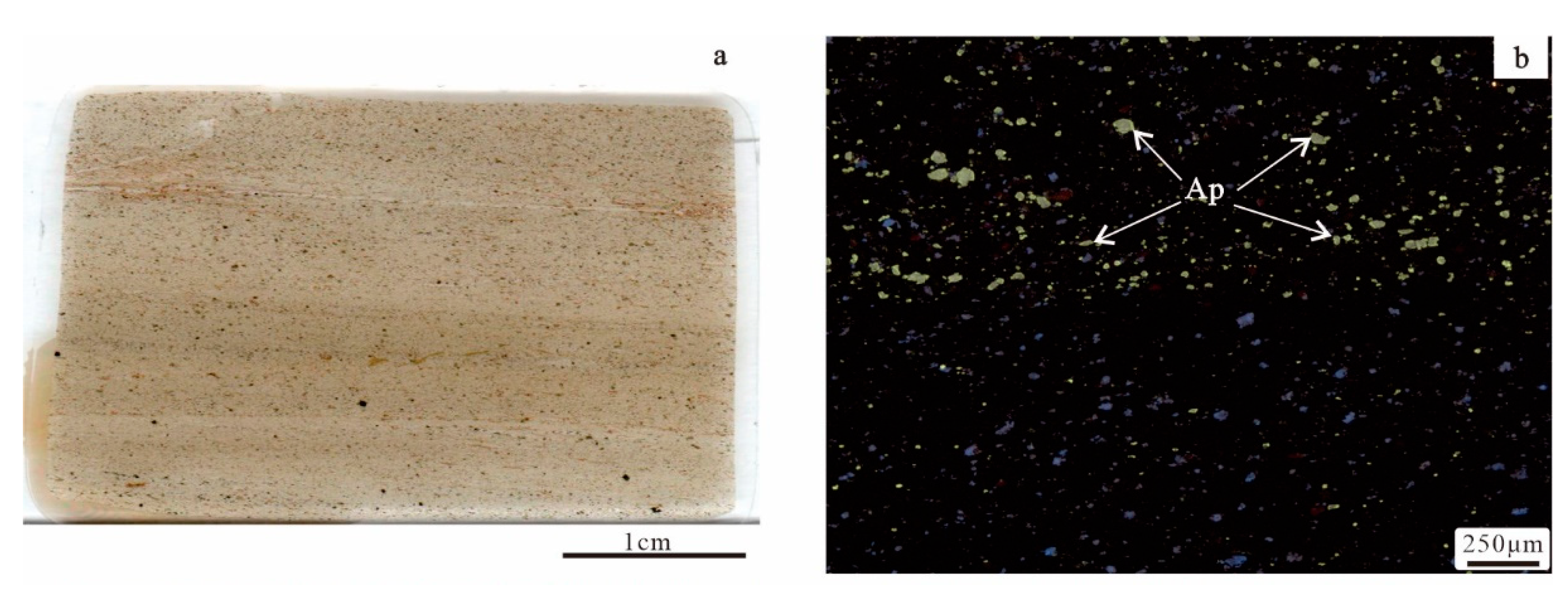 Minerals 16 00324 g002a Minerals 16 00324 g002a