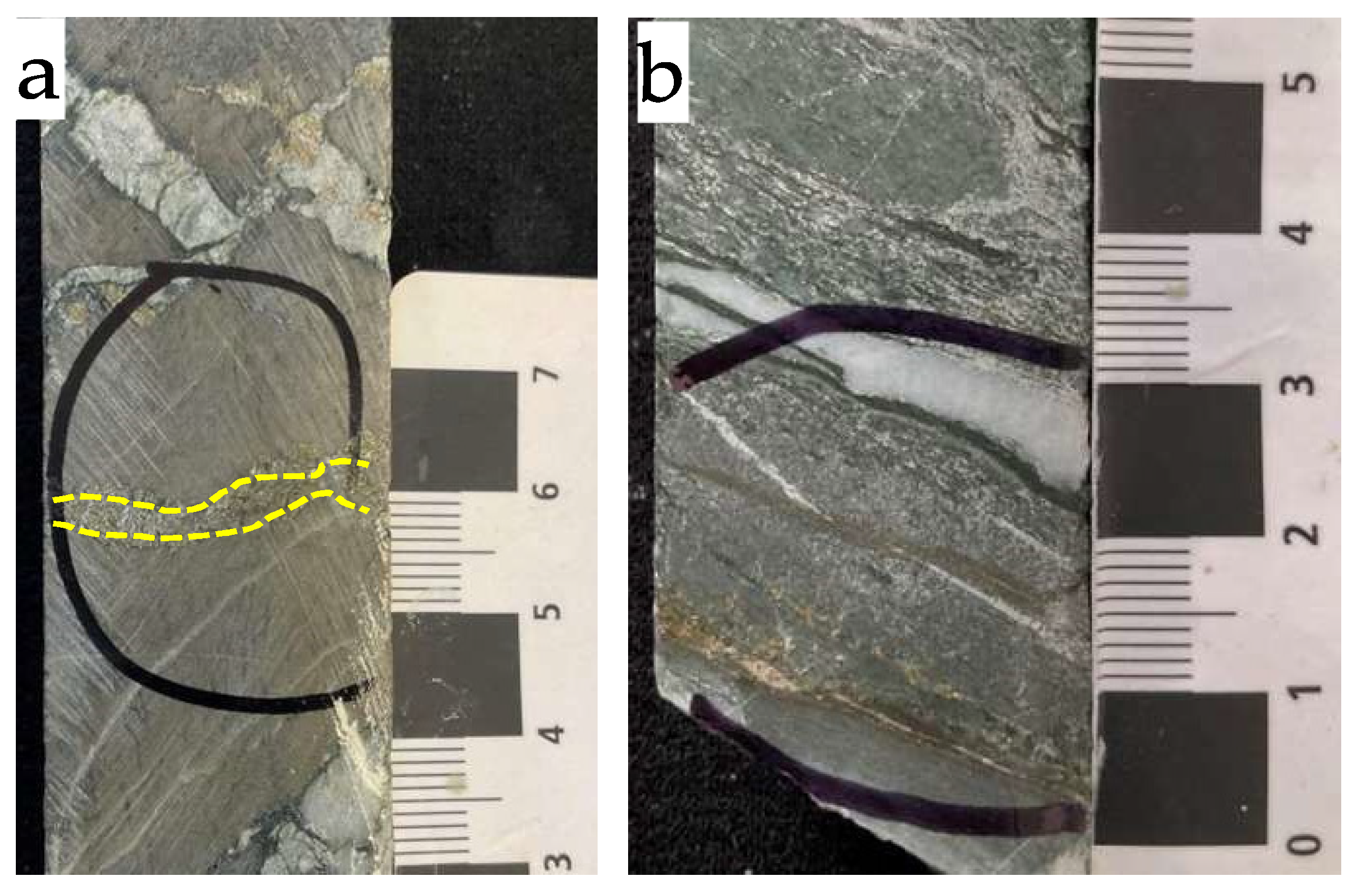Minerals 16 00335 g004