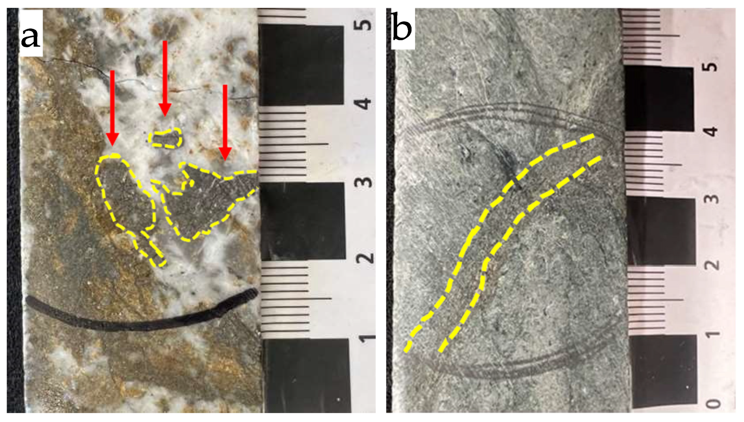 Minerals 16 00335 g005