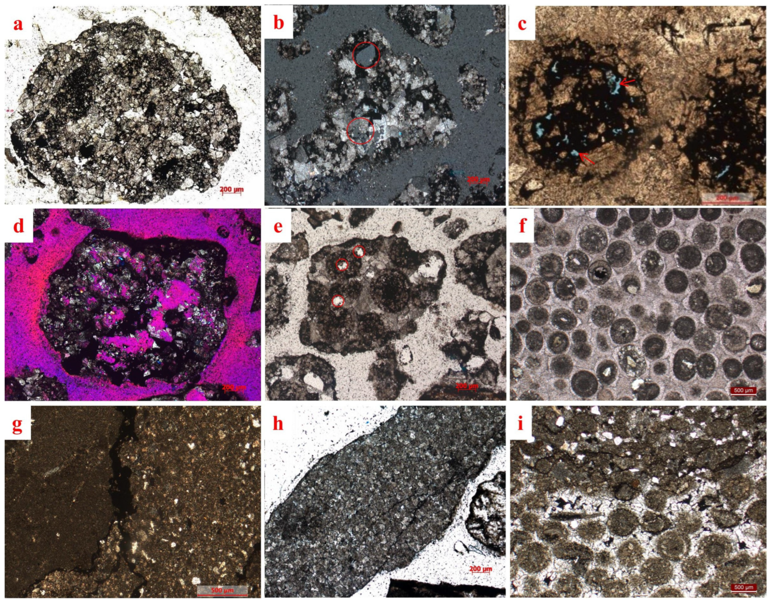 Minerals 16 00391 g003 Minerals 16 00391 g003