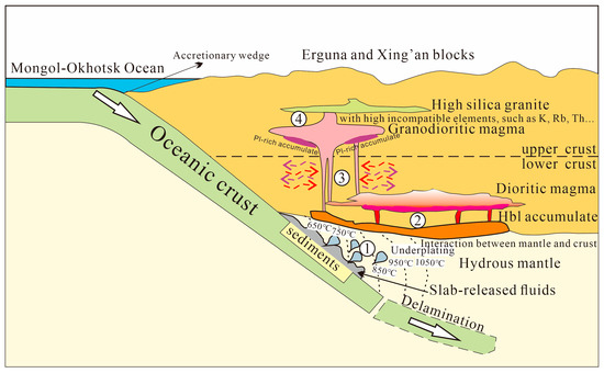 From Diorite to Monzogranite: The Early–Middle Jurassic Arc